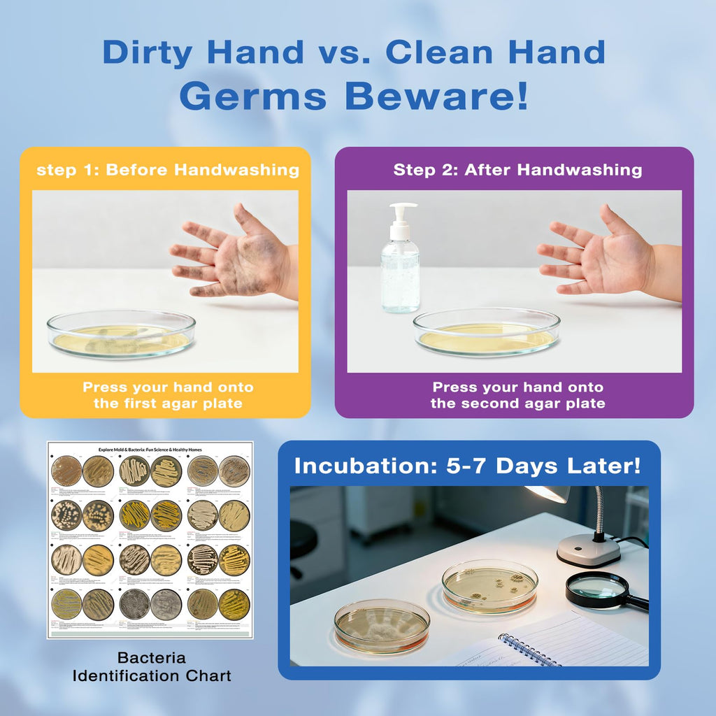 Giant Microbiology Bacteria Science Kit for Kids:2 XL 150mm Prepoured Nutrient Agar Plates, Petri Dishes with Agar & Colony Characteristics Poster for School Projects & Educational Gifts Mosynex Au supplements