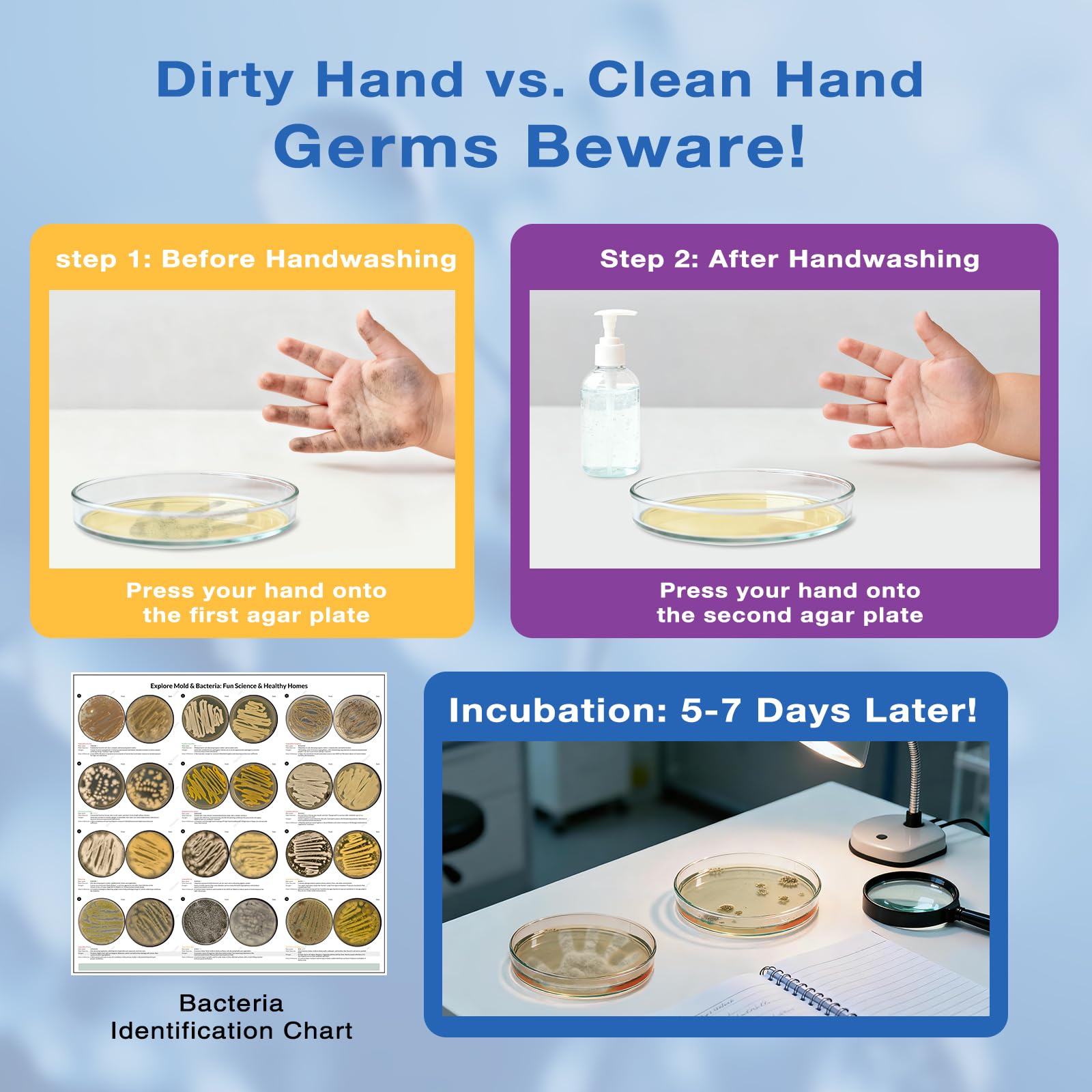 Giant Microbiology Bacteria Science Kit for Kids:2 XL 150mm Prepoured Nutrient Agar Plates, Petri Dishes with Agar & Colony Characteristics Poster for School Projects & Educational Gifts Mosynex Au supplements