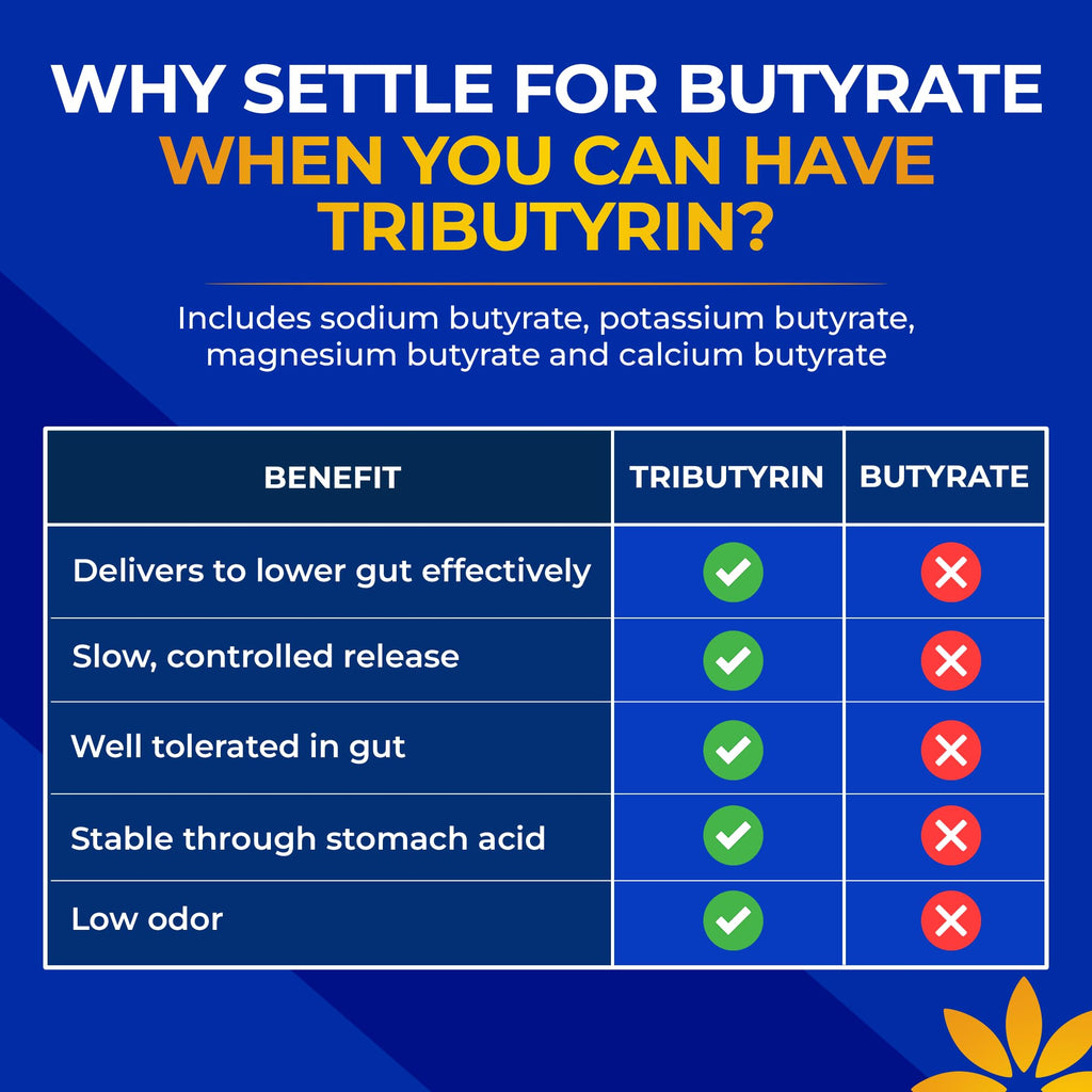 Tributyrin Supplement - Better Delivery & More Effective than Sodium Butyrate - Gut Health & Digestive Support - 3-in-1 Butyrate Postbiotics for Leaky Gut & Gut Barrier Support - 30 Capsules Vita Bloom Labs Au supplements