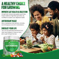 IMPACT Fiber Gummies for Adults, Women & Kids – Supergreens Veggies Daily High Fiber Gummies, for Gut Health & Immunity, Vegetarian Gummy Fiber Supplement,
