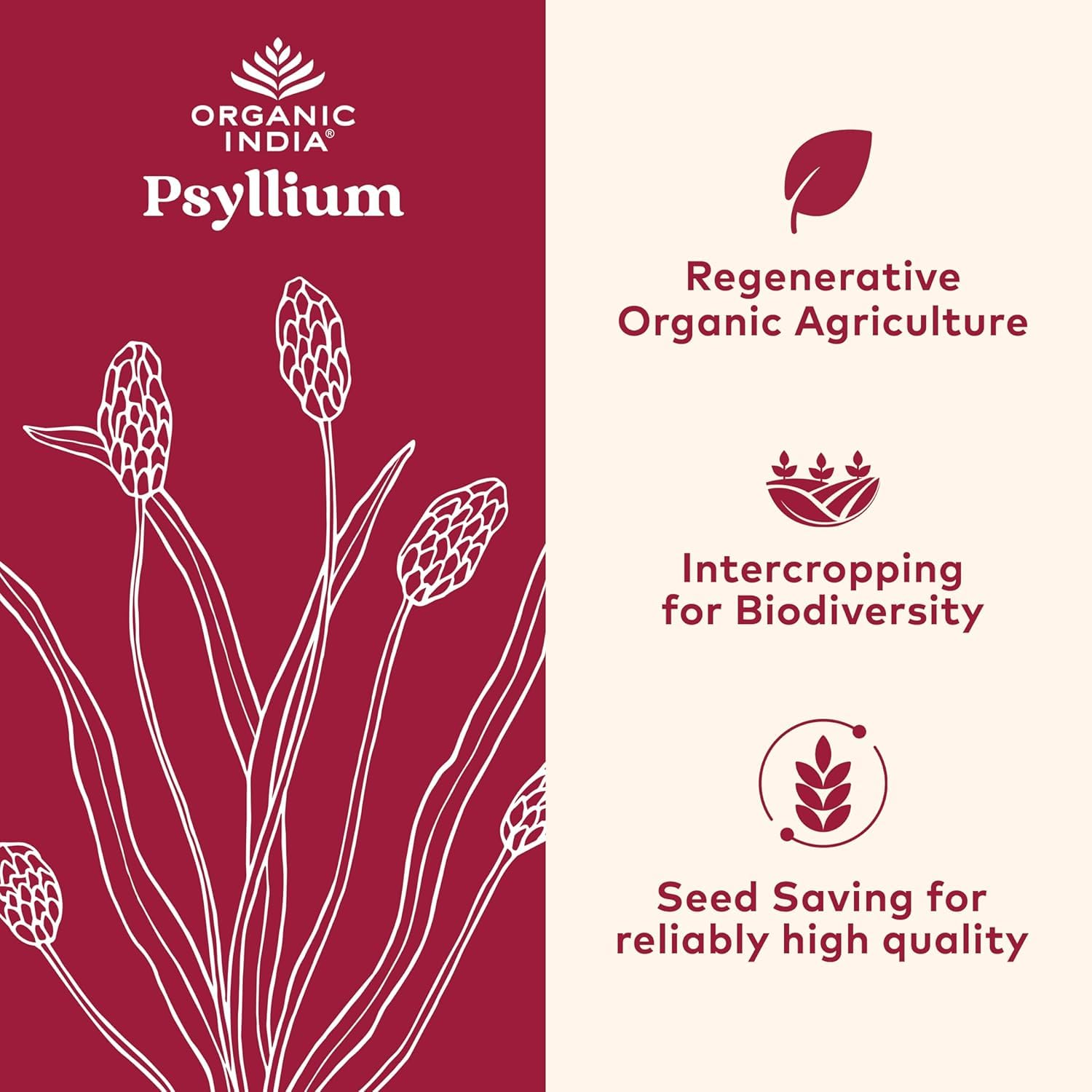 ORGANIC INDIA Psyllium Herbal Powder - Whole Husk Fiber, Vegan, Gluten-Free, USDA Certified Organic, Non-GM