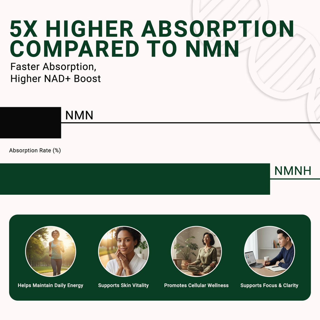 GenuinePurity - NMNH NAD Supplement - 250mg, 30 Count Liposomal NAD+ Supplement for Cellular Health & Energy - GMP Certified Advanced Reduced Form of NMN for Superior Stability & Absorption GenuinePurity Au supplements
