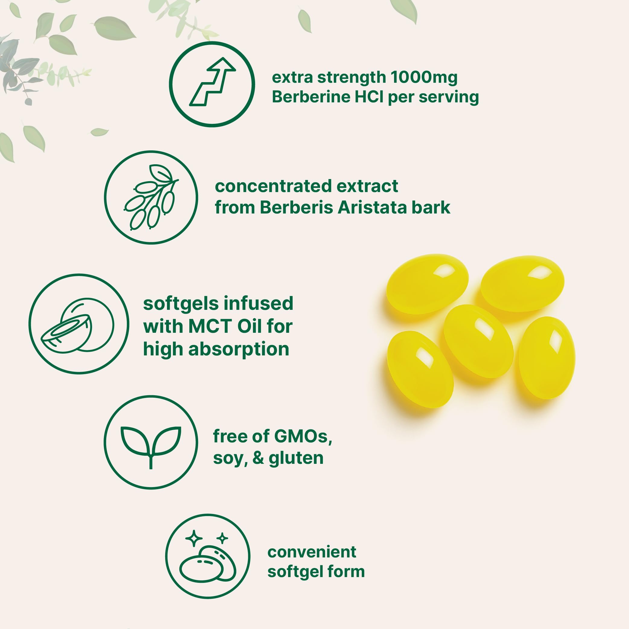 Micro Ingredients 1000mg with MCT Oil, 240 Softgels | Highly Bioavailable Formula with Berberine HCI from Aristata