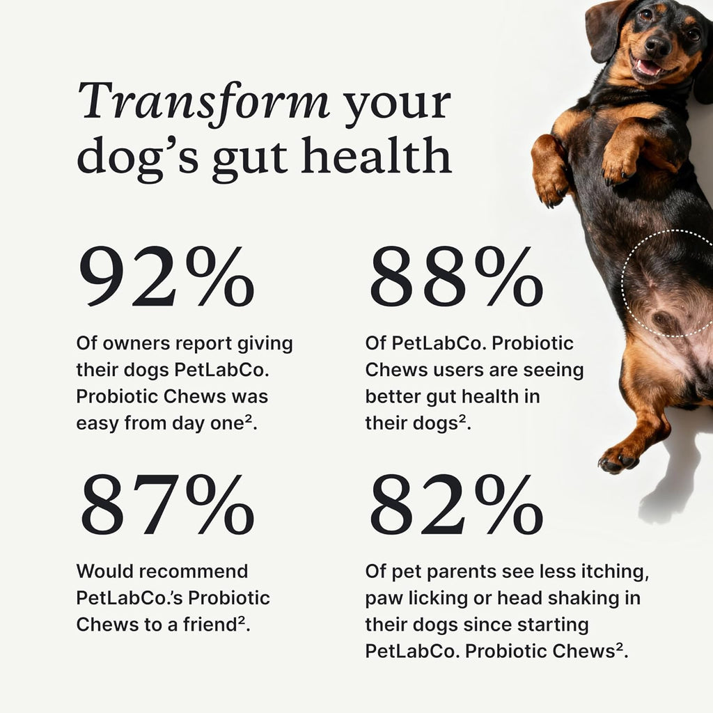 PetLab Co. Probiotics for Dogs, Support Gut Health, Occasional Diarrhea, Digestive Health & Seasonal Allergies - Salmon Flavor - Packaging May Vary - 30 Soft Chews PetLab Co. Au supplements