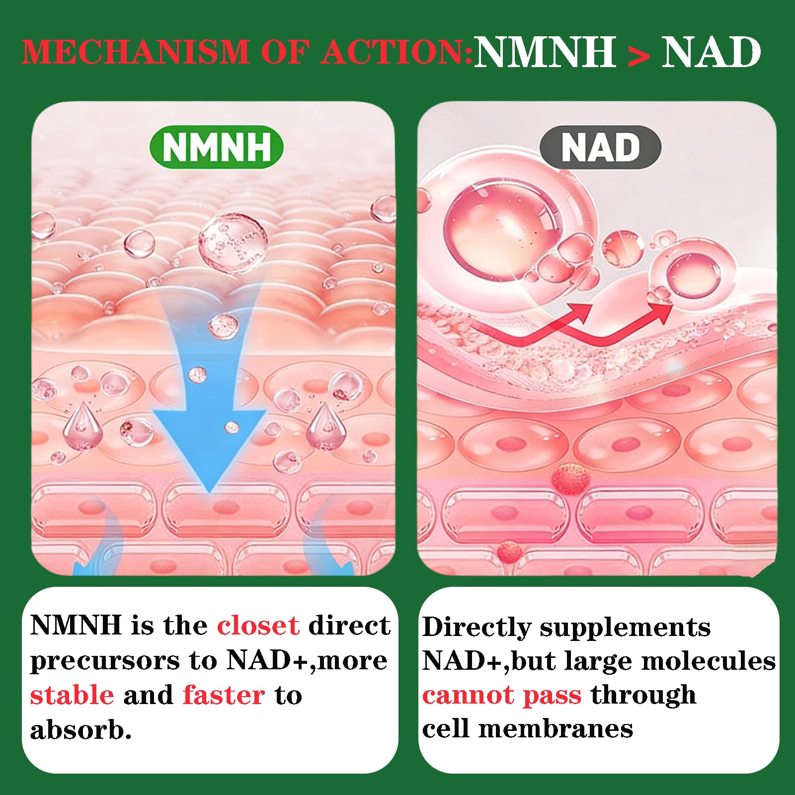 GHKALQ NMNH Supplement 1000mg,Liposomal Pure Nicotinamide Mononucleotide,Boost NAD Level with Resveratrol & Nicotinamide Riboside NR,High Absorption,for Cellular,Energy,Non-GMO,Vegan,120 Capsules GHKALQ Au supplements