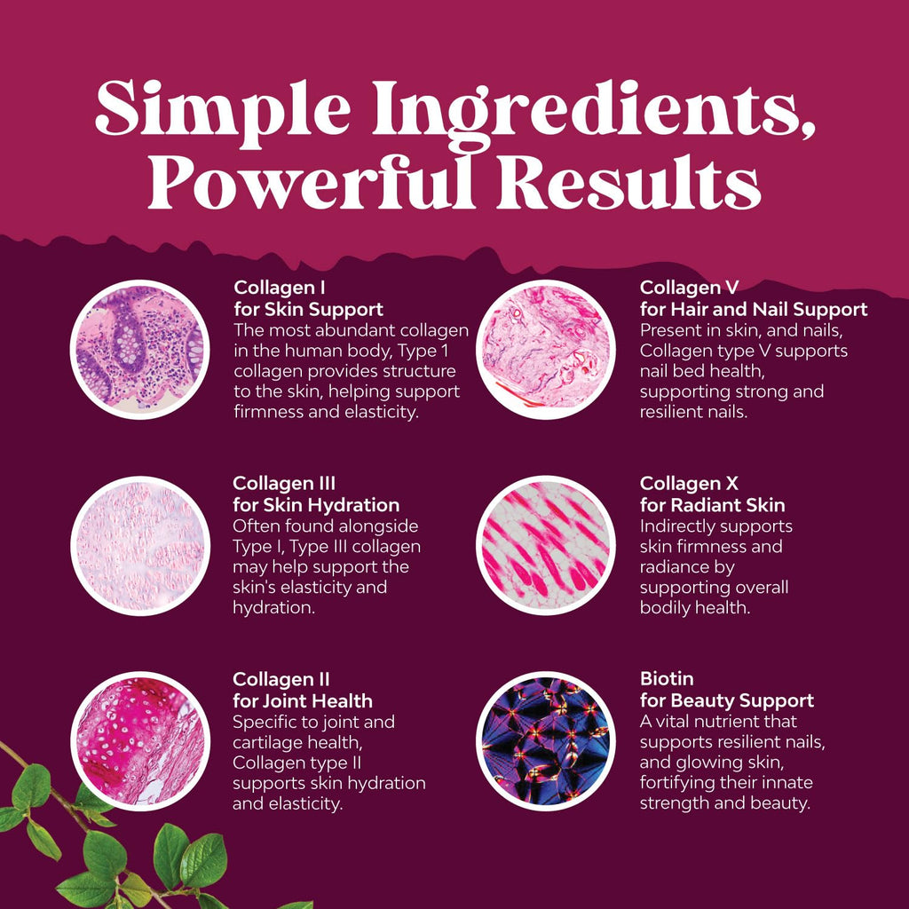 Advanced Multi Collagen Complex - Ageless Multi Collagen Peptides Supplements with Type 1 2 3 5 & X & Biotin for Hair, Skin and Nails Vitamins - Biotin Supplements for Women & Men - 90 Count Natures Craft Au supplements