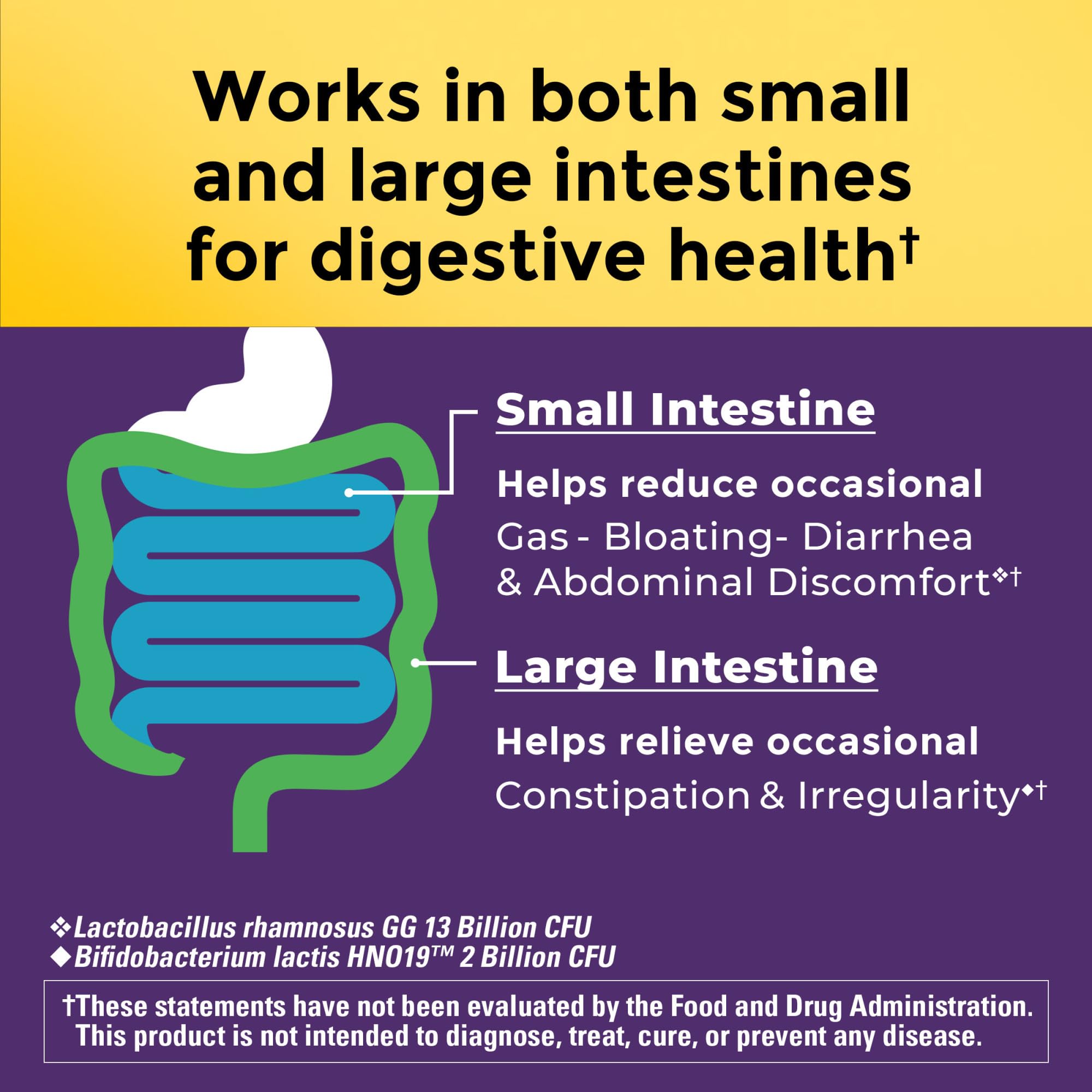 Nature Made Probiotics for Digestive Health Extra Strength 15 Billion CFU from Live Cultures, Probiotics for Women and Men, 30 Probiotic Capsules, 30 Day Supply Nature Made Au supplements