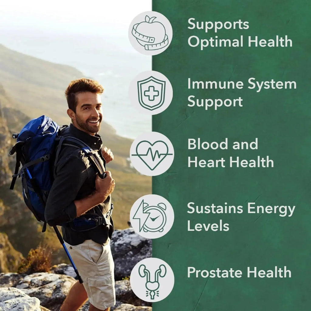 PlantFusion Organic Multivitamin for Men - One Daily Whole Food Blend Men's Multivitamin - Vegan, Non-GMO PlantFusion Au supplements