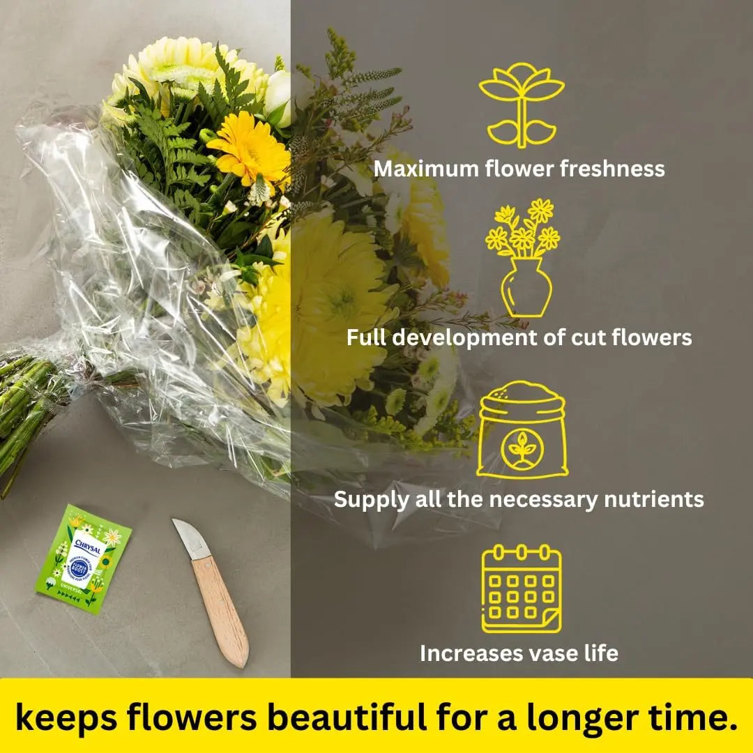 Chrysal Clear Flower Food Packets – Single Packet – Flower Arrangements & Bouquets – Floral Supplies Chrysal Au supplements