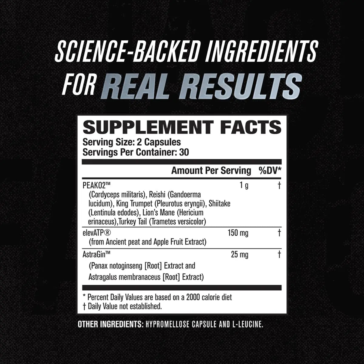Jacked Factory Muscle Builder Supplement Stack - Build-XT Muscle Builder & N.O. XT Nitric Jacked Factory Au supplements