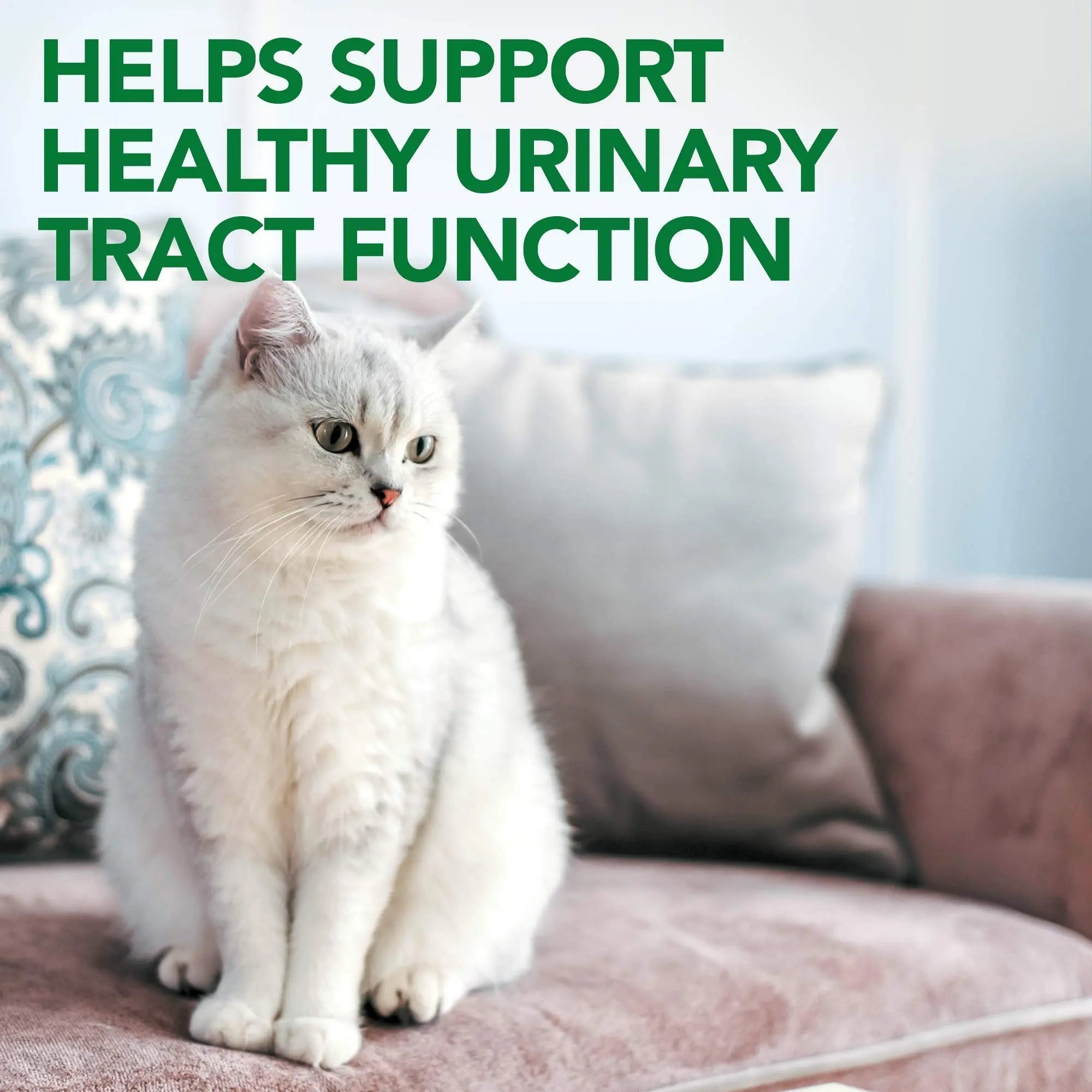 Vet's Best Cat Urinary Supplement, Urinary Tract Support Chewable for Cats, Supports A Healthy Urinary Tract in Cats, 60 Chewable Tablets Vet's Best Au supplements