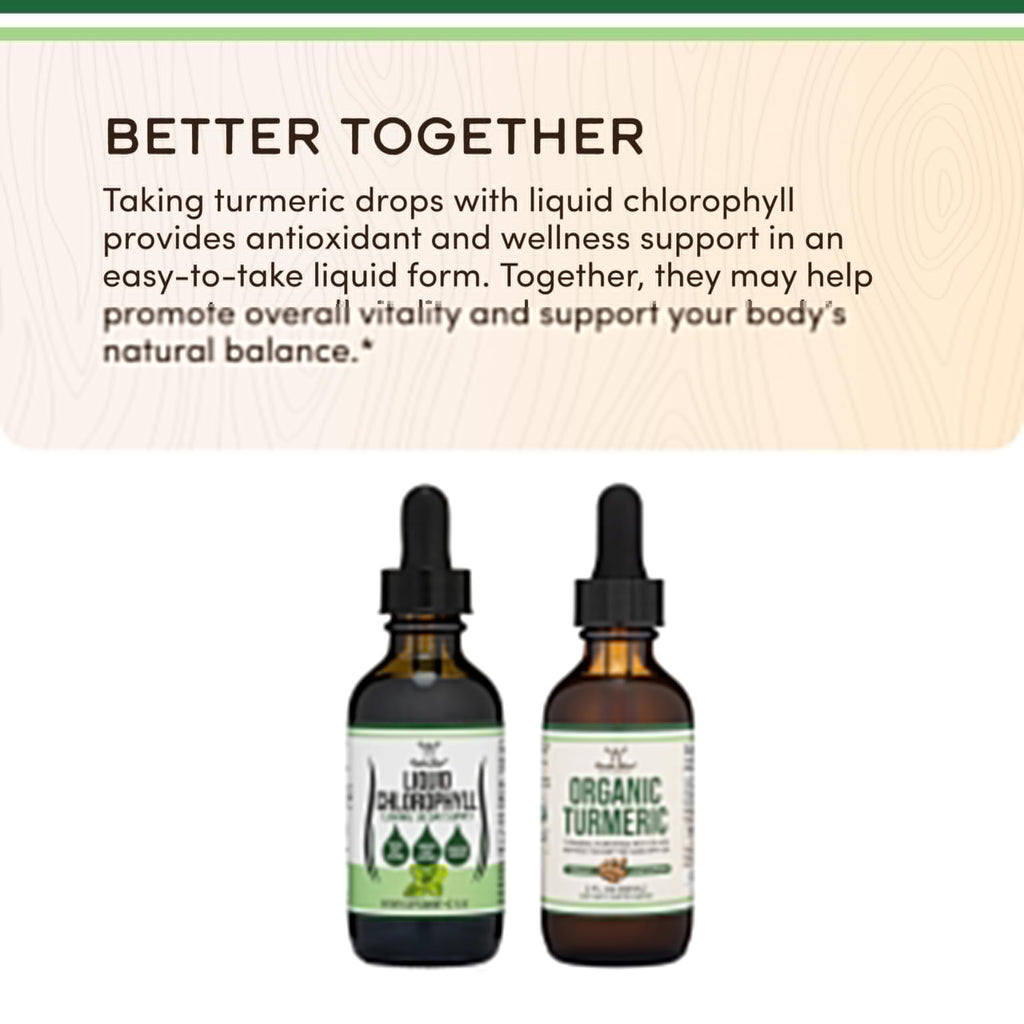 Chlorophyll Liquid Drops - for Digestion, Gut Health, Energy and Detox - Vegan Safe