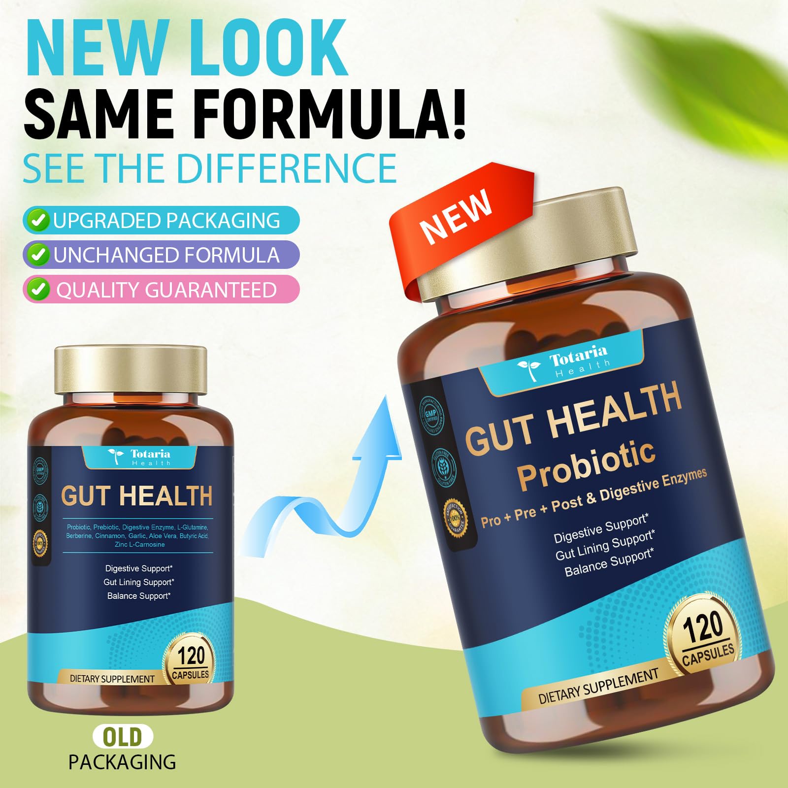 14-in-1 Gut Health with Probiotics, Prebiotics, Postbiotics & Digestive Enzymes for Women & Men, 60 Billion CFU Probiotics for Digestion, Strong Immunity,