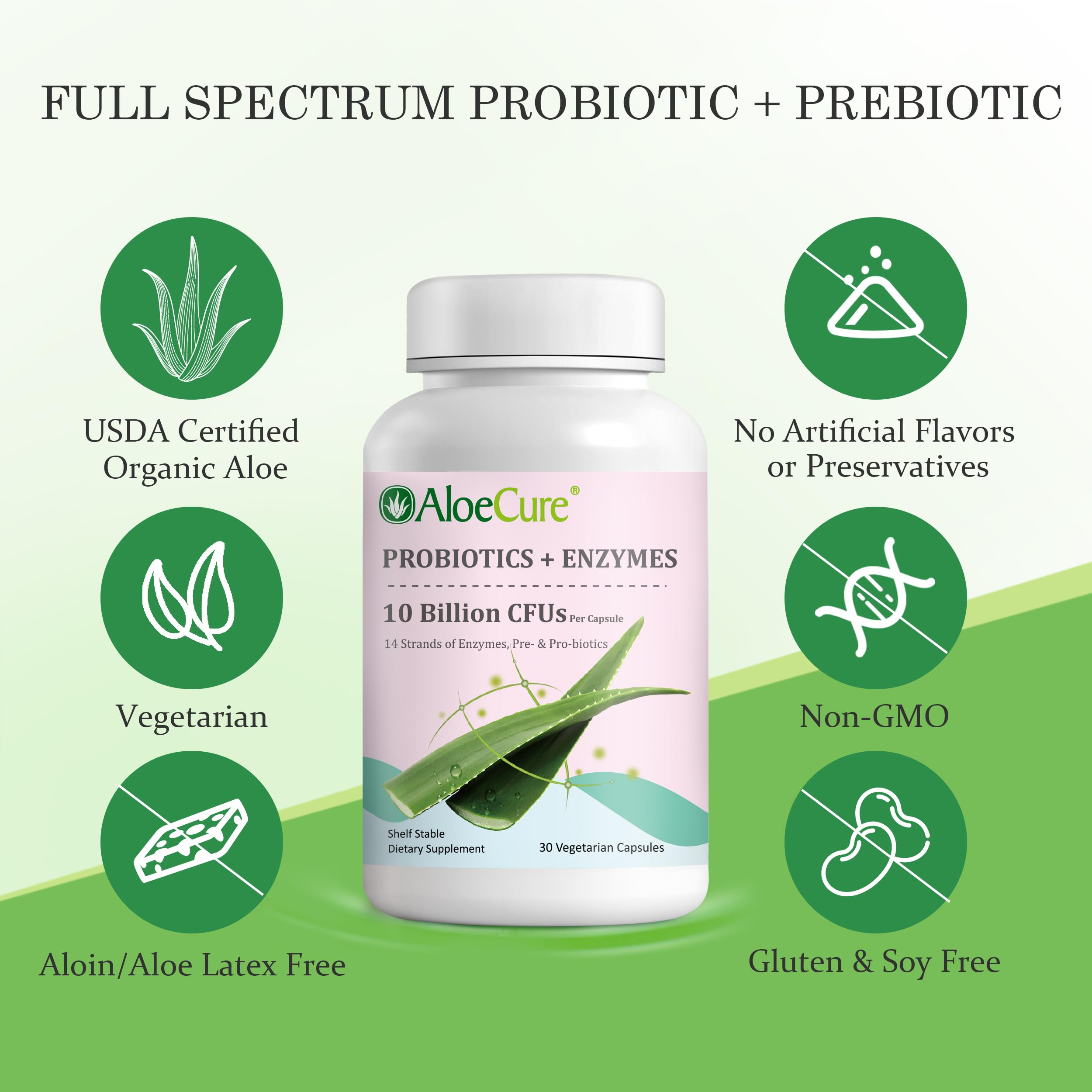 AloeCure Daily Probiotics 10 Billion CFU for Digestive Support 8 Strains, 6 Prebiotics & Enzymes - Digestive Supplement with Bromelain for Women & Men