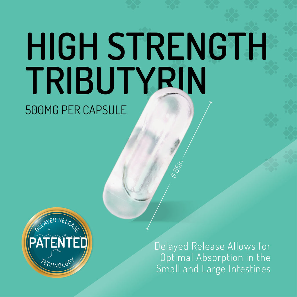 Healus Complete Biotic - Postbiotic Tributyrin Supplement - Postbiotics for Gut Health - Butyrate Gut Health Supplement Healus Au supplements