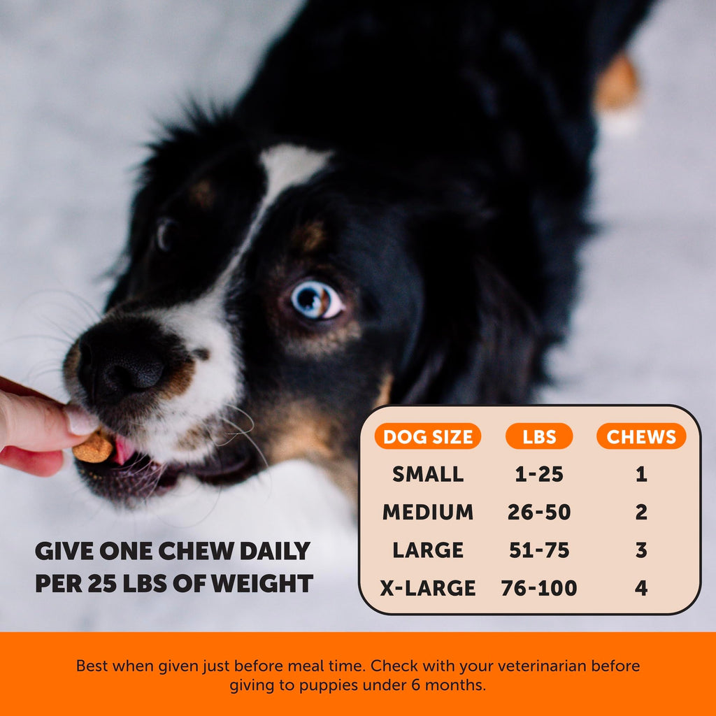 Hemp Hip & Joint Supplement for Dogs - Hemp Oil & Powder - Glucosamine Chondroitin for Dogs, Turmeric, MSM, Green-Lipped Mussel, Supports Mobility, May Reduce Discomfort (Bacon) Pet Honesty Au supplements