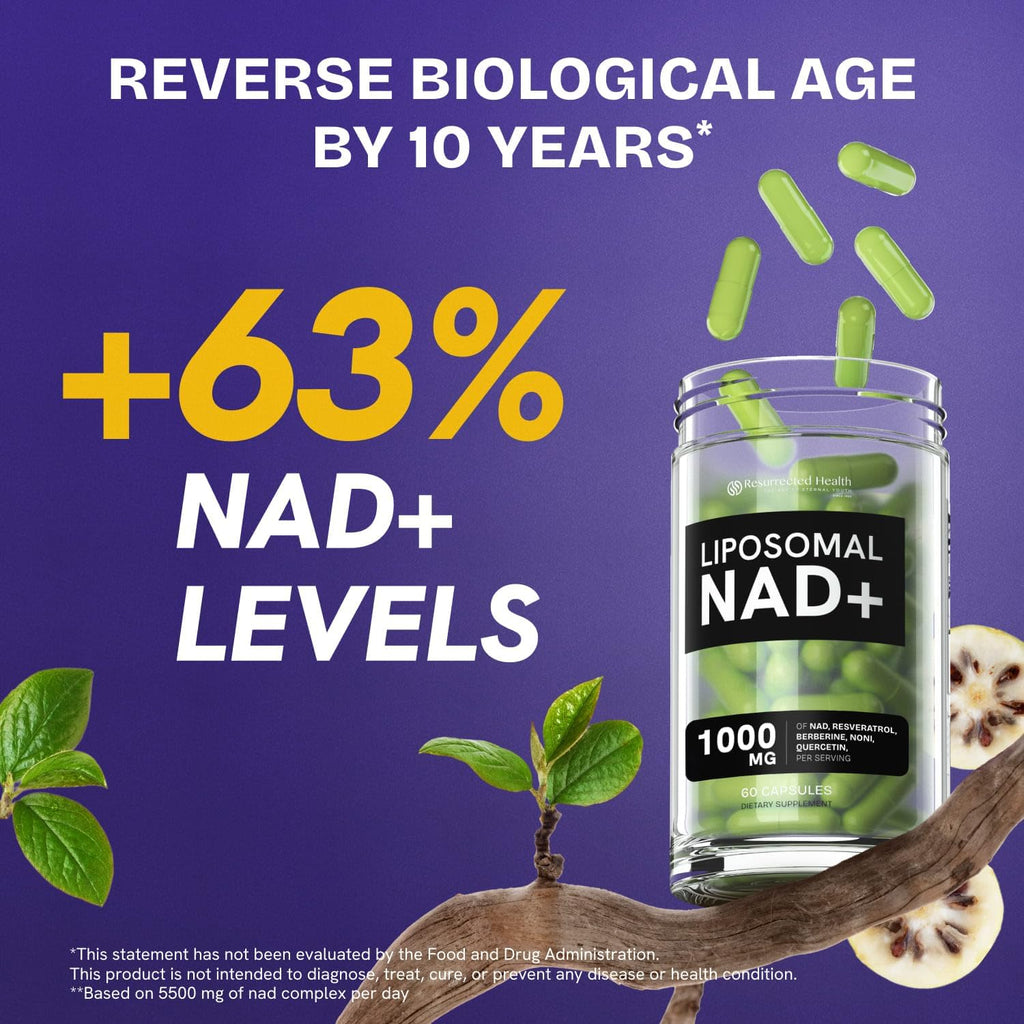 Liposomal NAD Supplement for Women w/Noni | 5-in-1 NAD Resveratrol Supplement w/Berberine & Quercetin | Pure NMN Powder Alternative | Supports Anti Aging & NAD+ Levels | 60 caps - 1 Pack Resurrected Health Au supplements