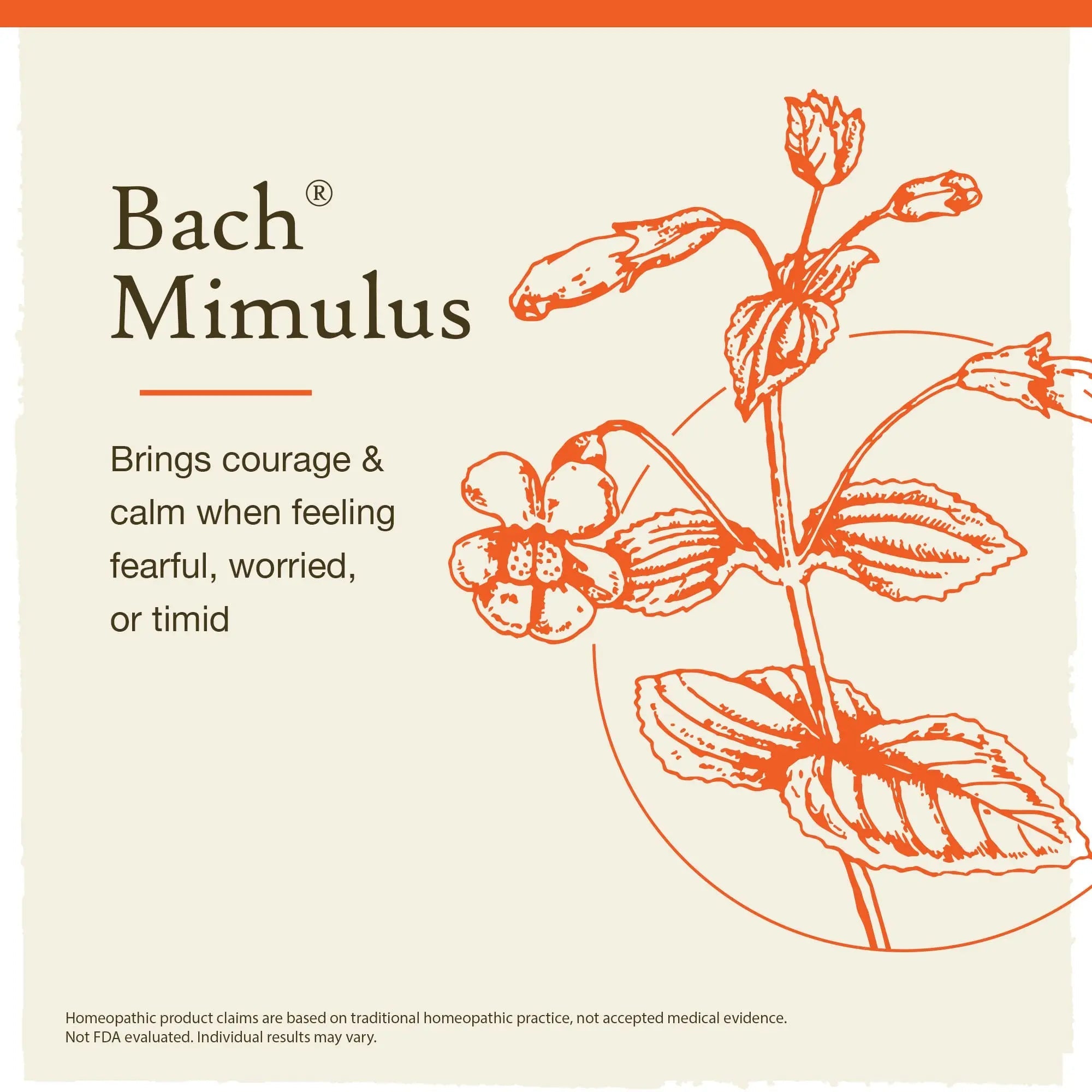 Bach Original Flower Remedies, Mimulus for Facing Fears (Non-Alcohol Formula), Natural Homeopathic Bach Au supplements