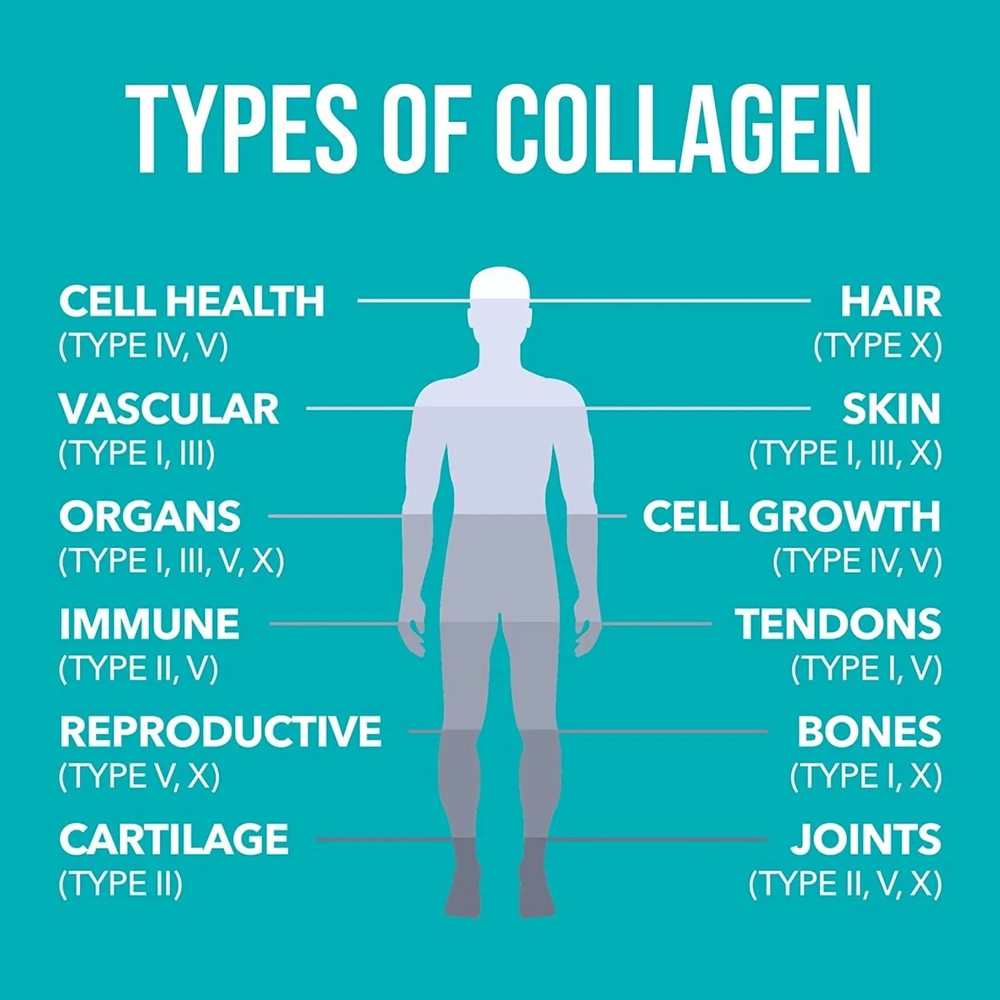 NaturesPlus Collagen Peptides Powder - Premium Hydrolysed Collagen Supplement, 6 Major Types Nature's Plus Au supplements