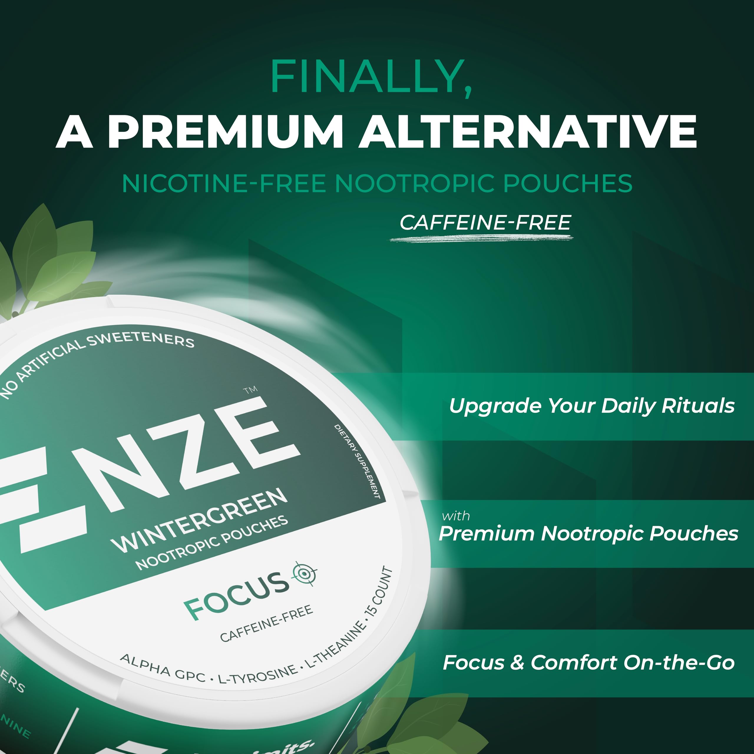 NZE Caffeine Free Nootropic Pouches (Wintergreen) - Nootropic Pouches with Alpha GPC, L-Tyrosine & L-Theanine - No Sugar or Artificial Sweeteners - 15 Pouches Per Can - 5 Pack NZE Au supplements
