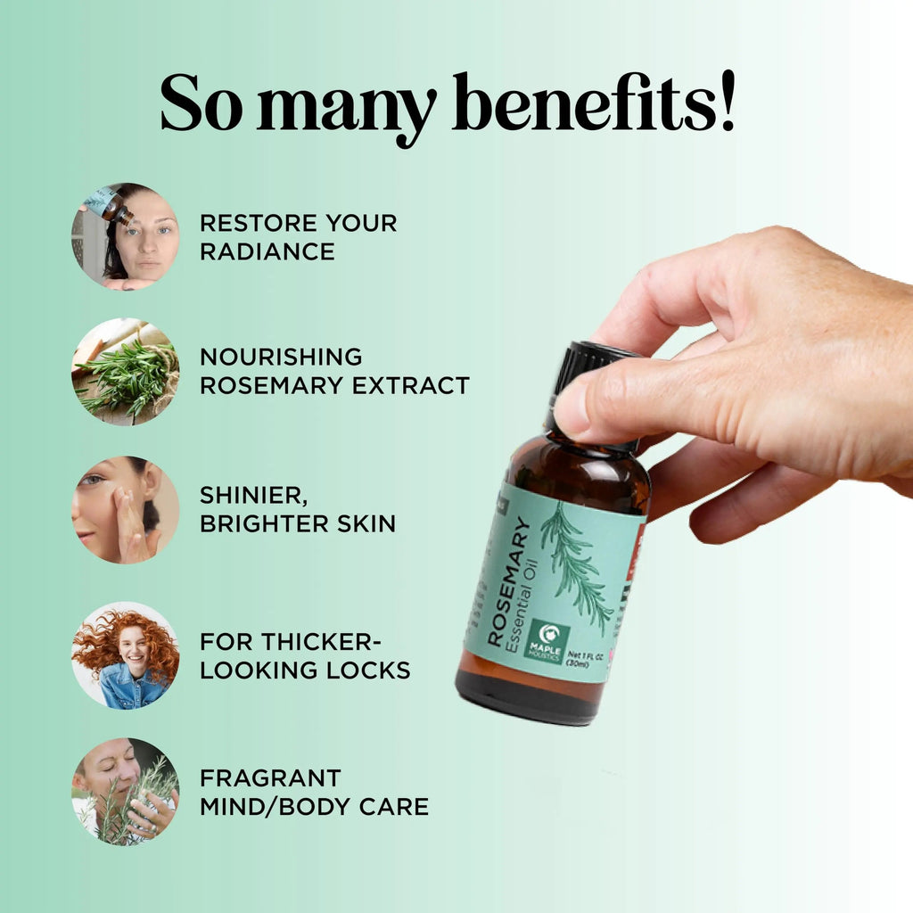 Pure Rosemary Essential Oil for Aromatherapy - Pure Rosemary Oil for Hair Skin and Nails Maple Holistics Au supplements