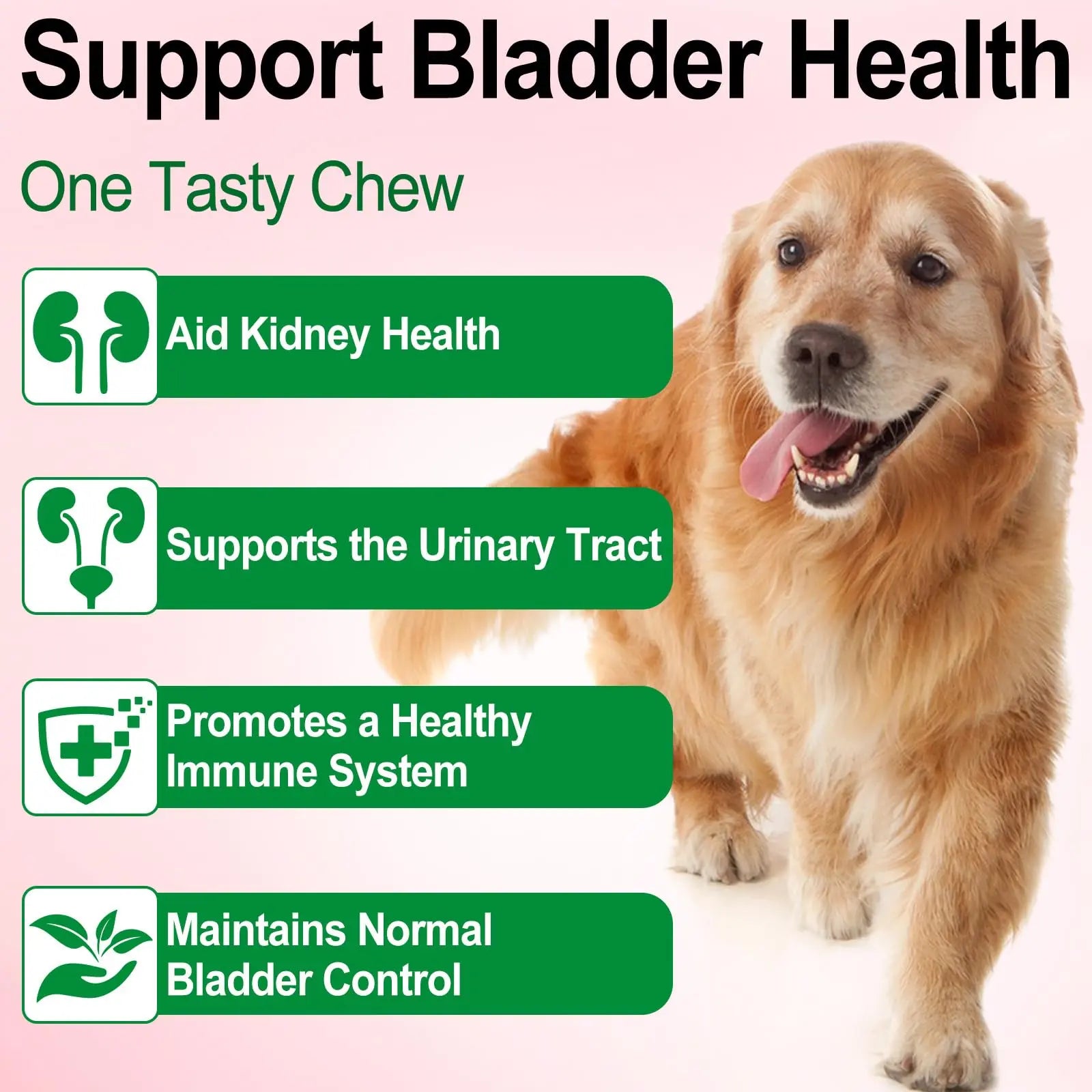 Dog UTI Treatment - Urinary Tract Infection Treatments, Kidney+Bladder Support Supplement, Natural Cranberry Extract for Dogs, Supports Urinary and Digestive Health (2 Fl Oz (Pack of 2)) Onznoz Au supplements
