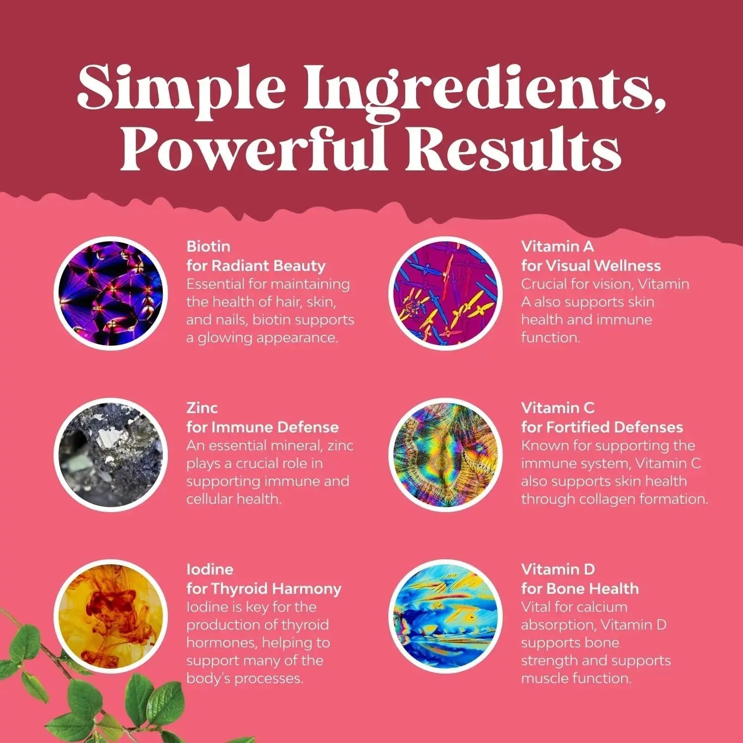Delicious Daily Multivitamin for Women Gummies - Women's Multivitamin Gummies for Adults Energy and Immunity Natures Craft Au supplements