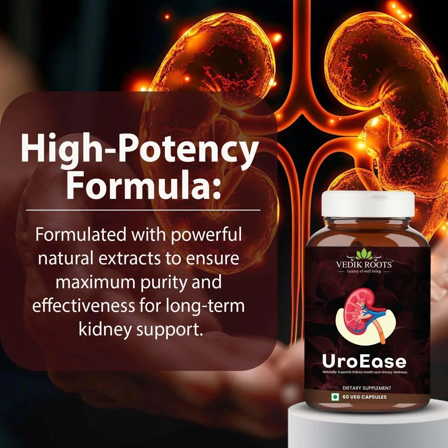 VEDIKROOTS UroEase | Ayurvedic Herbal Supplement for Kidney Health & Uric Acid Levels | Supports Urinary Tract Health | 60 Veg Capsules VEDIKROOTS Au supplements