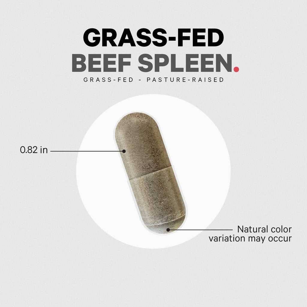 Codeage Grass Fed Beef Spleen Supplement - 2-Month Supply - Freeze Dried, Non-Defatted, Desiccated Bovine Pills Glandulars Meat – Pasture Raised Beef Vitamins for Spleen -180 Capsules Codeage Au supplements