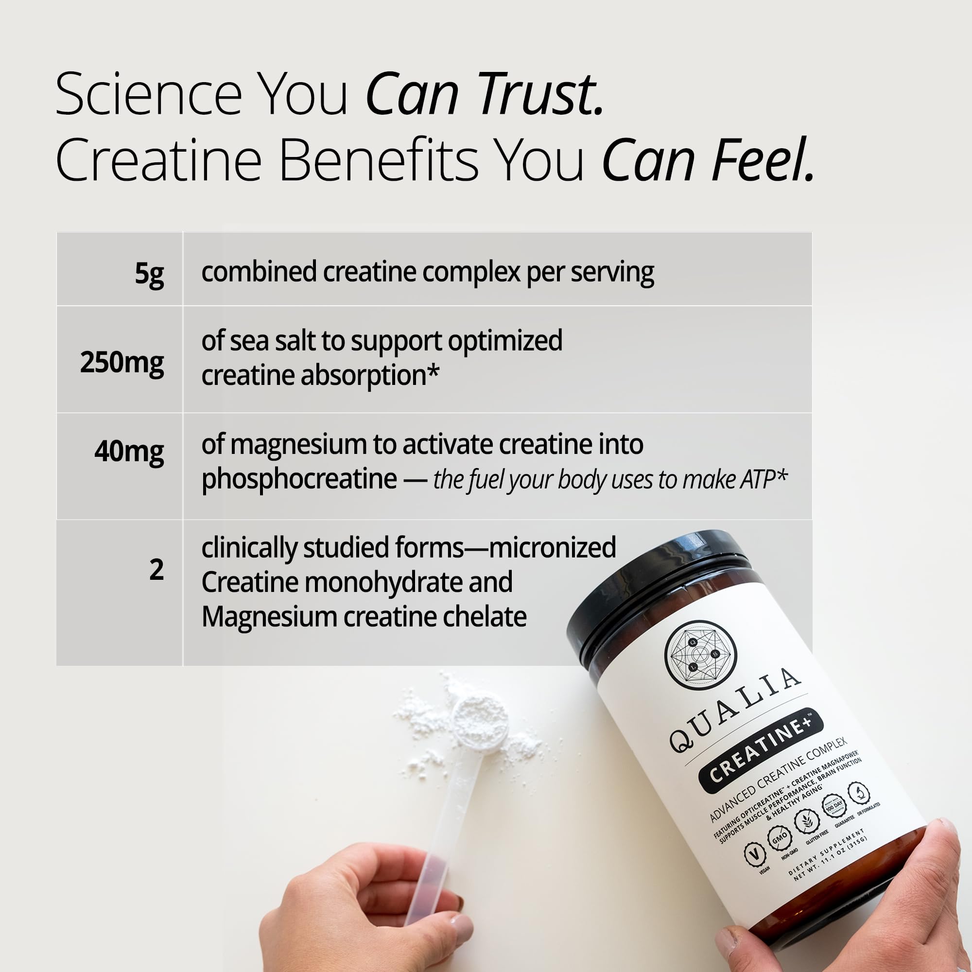 Qualia Creatine | Advanced Creatine Complex | 2 Sources + Magnesium | Optimized Absorption | Muscle Performance, Brain Function, & Healthy Aging QUALIA LIFE SCIENCES Au supplements