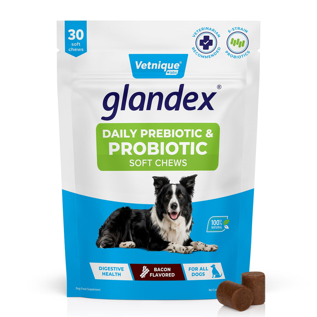 Vetnique Glandex Daily Probiotics for Dogs with Prebiotics to Support Gut Health with Fiber and Digestive Enzymes, Dog Probiotic Chews or Powders (30ct Chews, Bacon Chews) Vetnique Au supplements