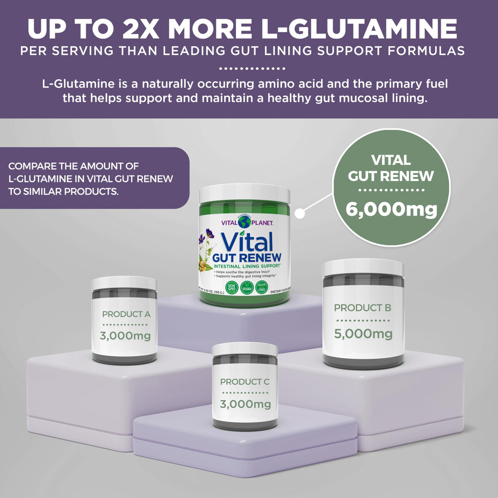 Vital Planet - Vital Gut Renew Powder Supplement for Leaky Gut Repair with L-Glutamine, Marshmallow and Ginger Root, DGL Licorice Root and Organic