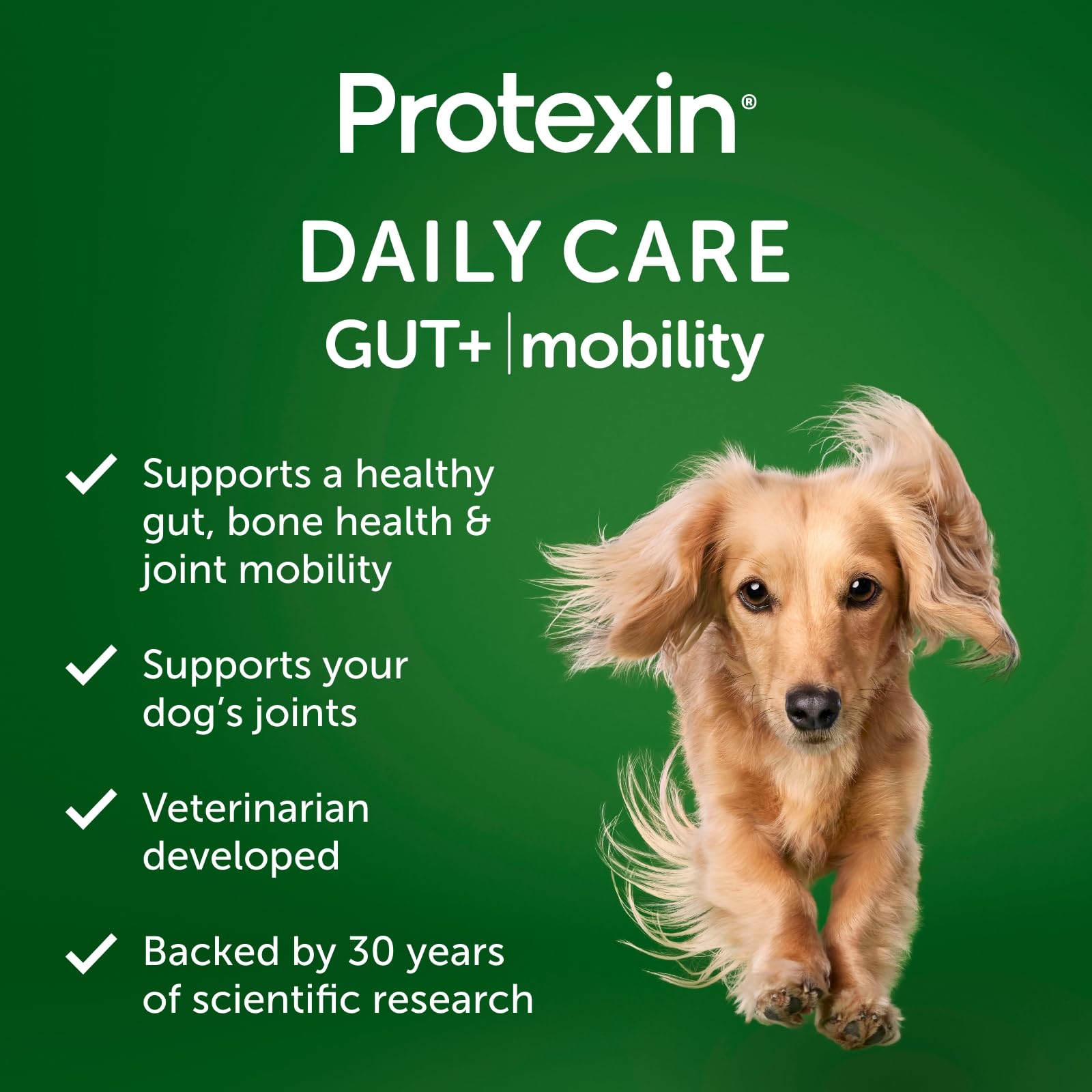 Protexin Daily Care Gut+ Mobility | 60 Dog Chews, Chicken and Bacon Flavor Dog Supplement | Probiotics for Dogs, Dog Postbiotics Protexin Au supplements