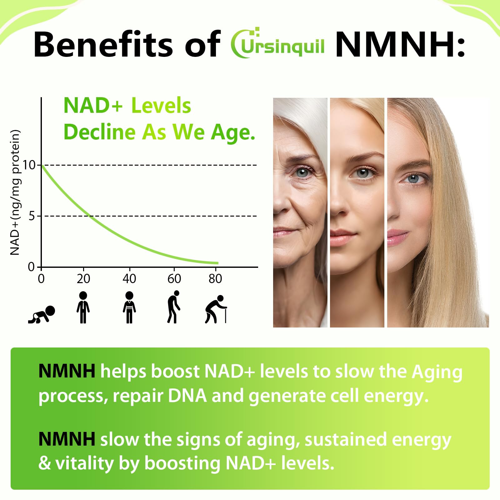Sublingual NMNH 500mg (Dihydronicotinamide Mononucleotide) (120 Servings, NMNH 500mg per Serving) NAD Supplement to Boost NAD Levels as We Age, for Anti-Aging, Energy, Immunity, Focus - 120 Count Ursinquil Au supplements