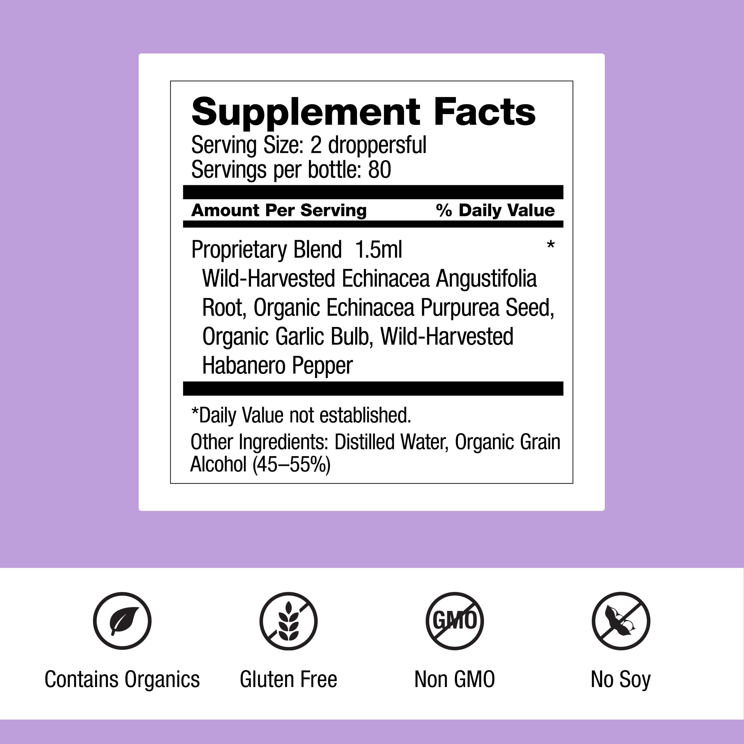 Dr. Schulze's Echinacea Plus | Echinacea Root and Seed | All Organic Extract | Gluten-Free & Non-GMO for Immune System Support | 4 oz Dr. Schulze's Au supplements