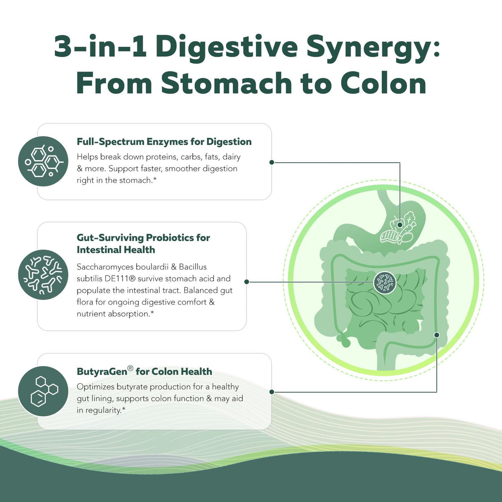 Flora Digest - 3-in-1 Max Strength Digestive Enzymes + Gut Surviving Probiotics & ButyraGen® Postbiotic for Optimal Digestion, Bloating Relief, Regularity, Gut Lining & Colon Support - (30 Capsules) Triquetra Health Au supplements