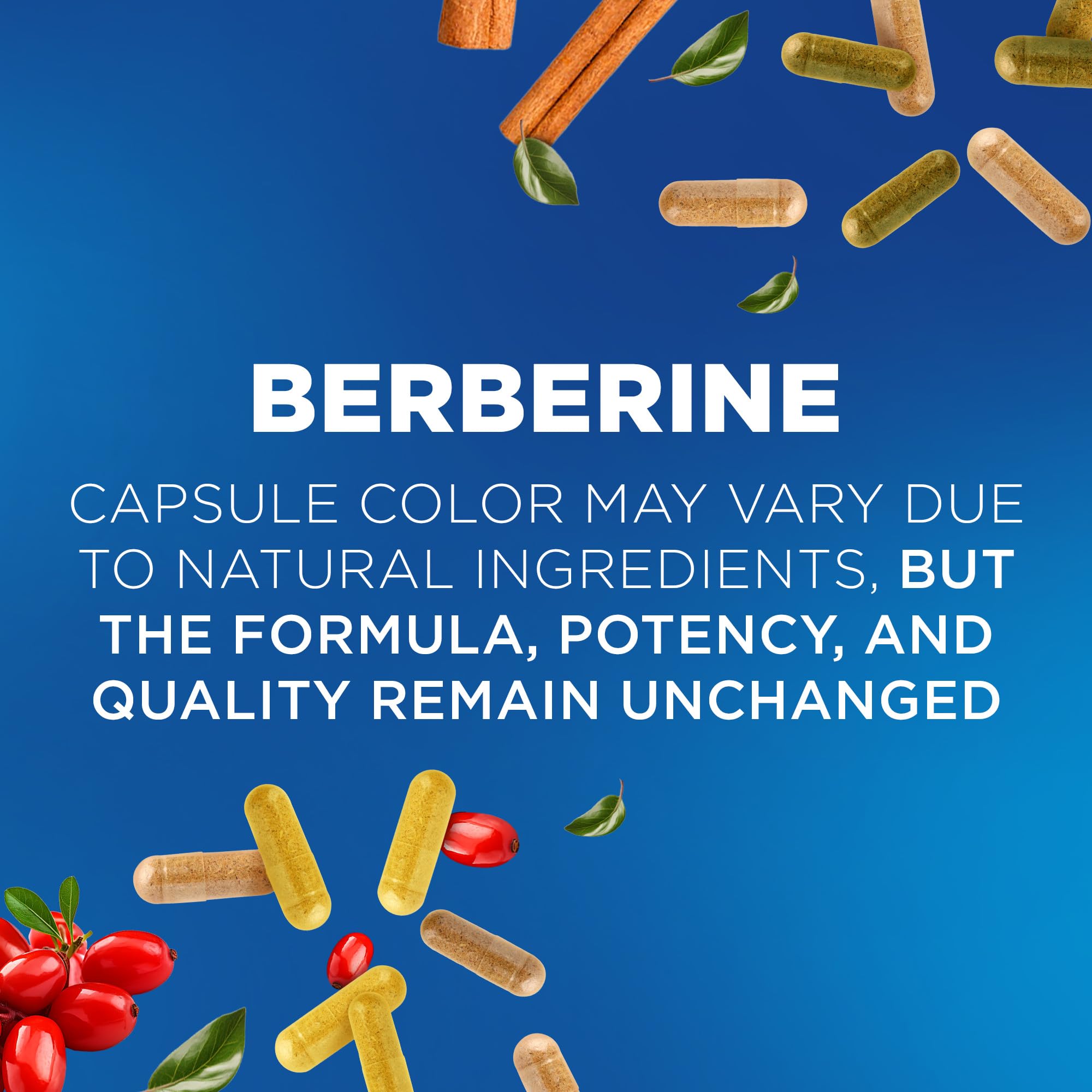 Nutrivein Premium Berberine 1200 mg with Ceylon Cinnamon - 120 Capsules: High-Absorption Berberine Supplement