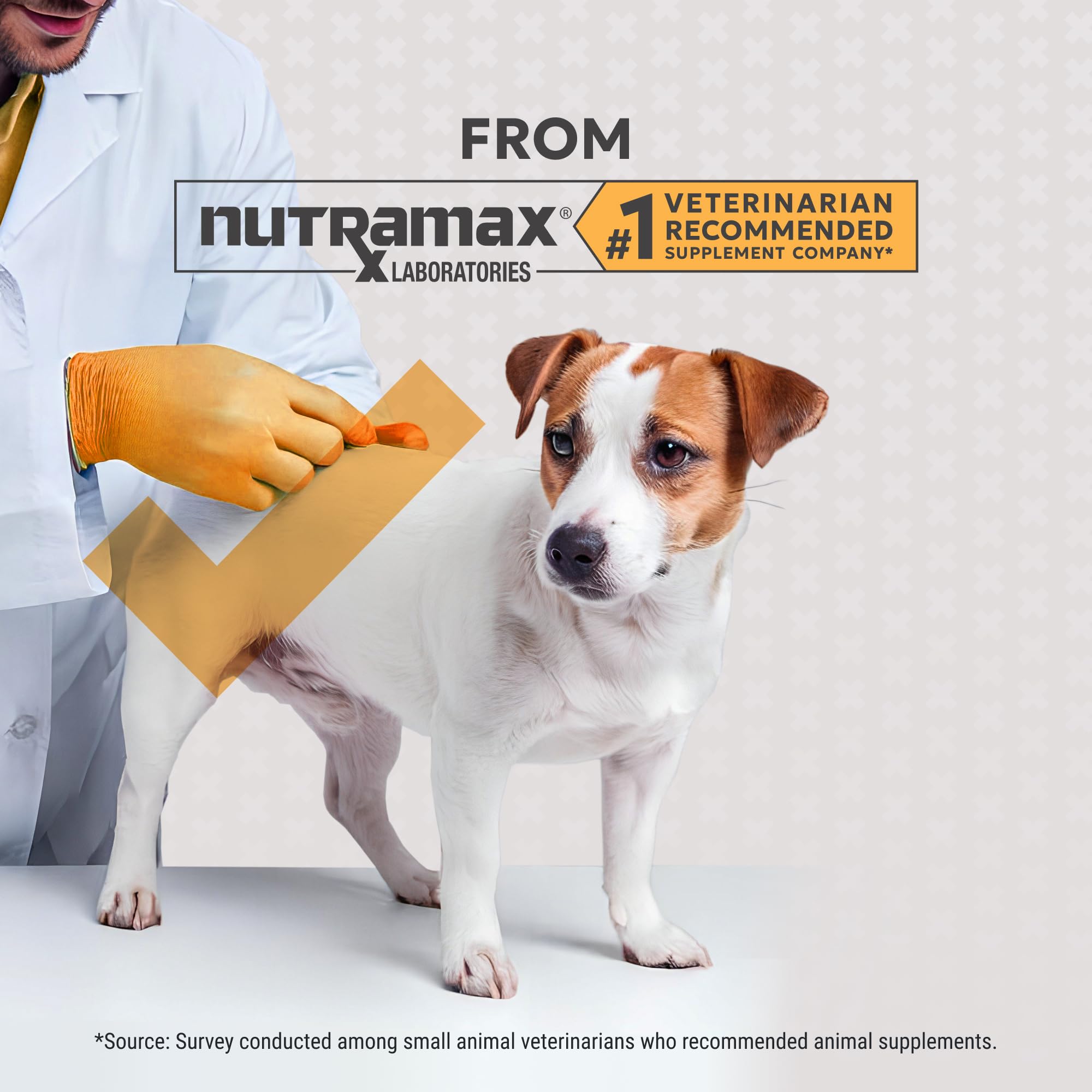 Nutramax Filaquin Anal Gland Supplement for Dogs, from The Same Company as Cosequin & Proviable, with Pre & Postbiotics and Psyllium Husk Fiber to Support Anal Gland Health, 90 Count Soft Chews Nutramax Laboratories Au supplements