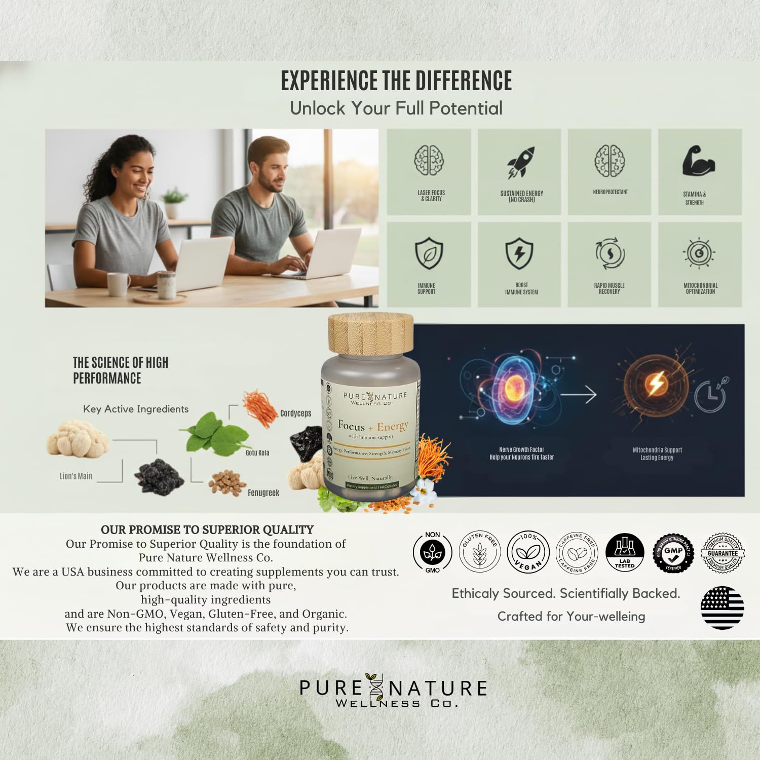Focus + Energy + Performance Support-6-in-1 Mushroom Nootropic & Mitochondrial Complex-Advanced Brain Supplement-Natural Energy-Caffeine Free Biohack with Lion’s Mane,Cordyceps,Mumijo,Fenugreek Pure Nature Wellness Co. Au supplements