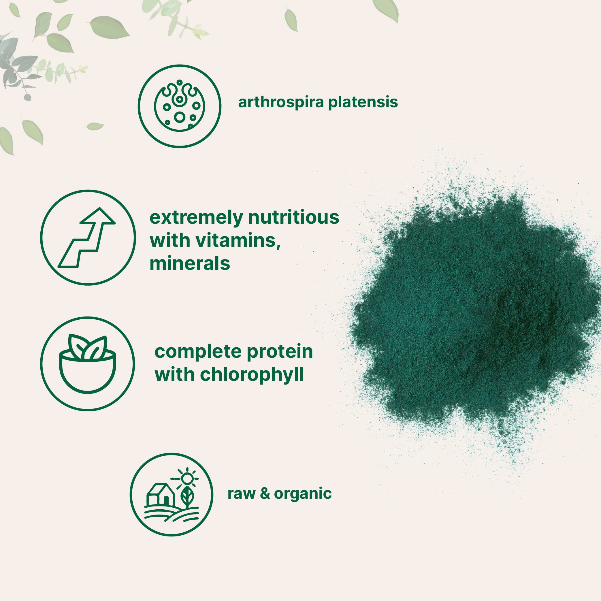 Micro Ingredients Organic Spirulina Powder, 1lb | Blue-Green Algae, Rich in Vegan Protein, Vitamins & Minerals | Source of Natural Chlorophyll & Enzymes