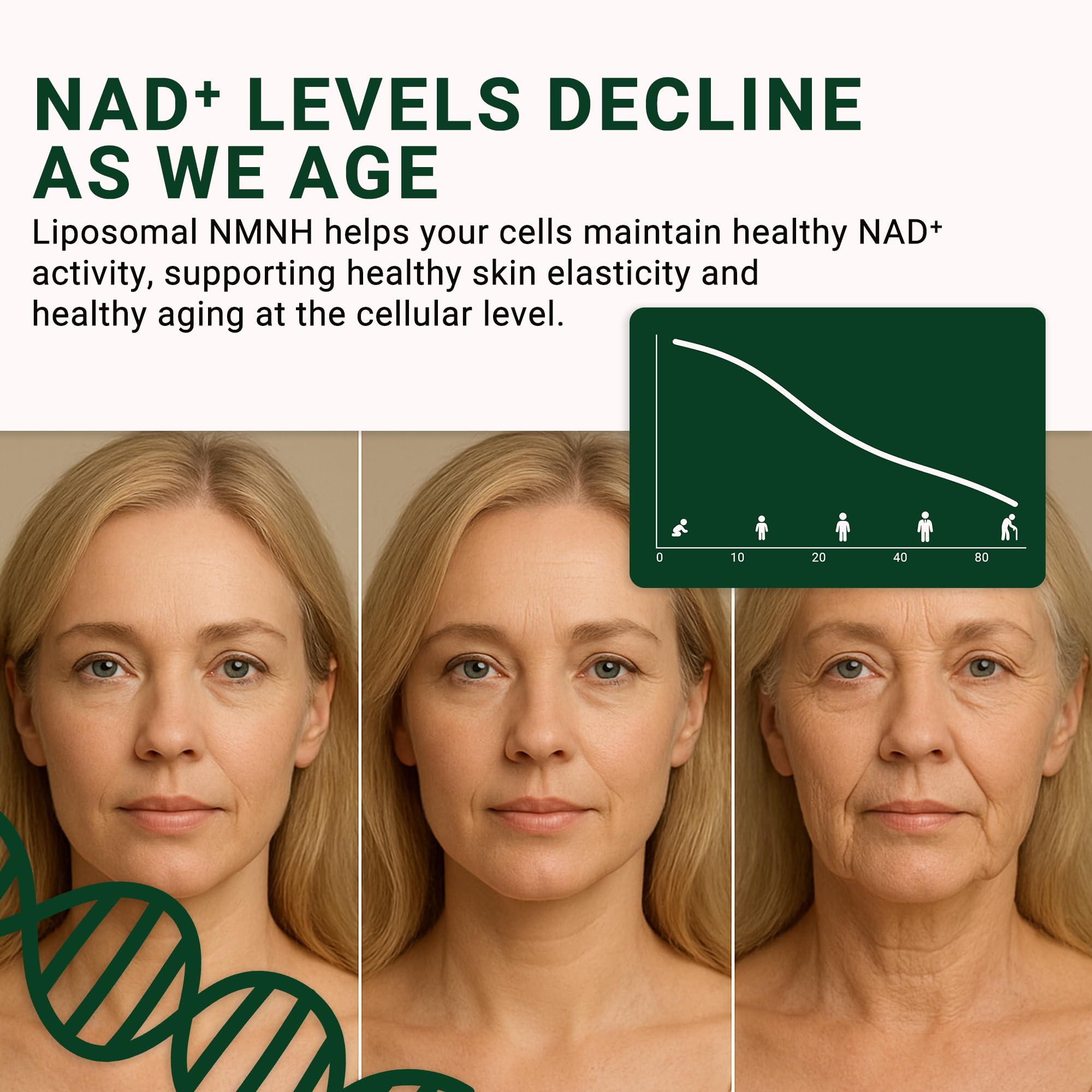 GenuinePurity - NMNH NAD Supplement - 250mg, 30 Count Liposomal NAD+ Supplement for Cellular Health & Energy - GMP Certified Advanced Reduced Form of NMN for Superior Stability & Absorption GenuinePurity Au supplements