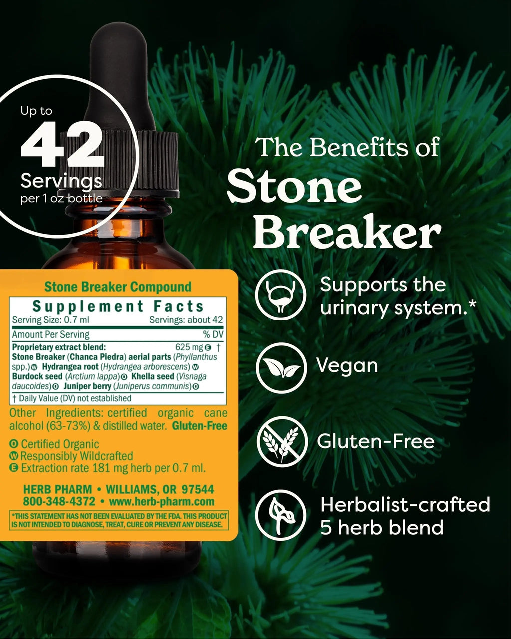 Herb Pharm Stone Breaker (Chanca Piedra) Compound Liquid for Urinary System Support - 1 Fl Oz Herb Pharm Au supplements
