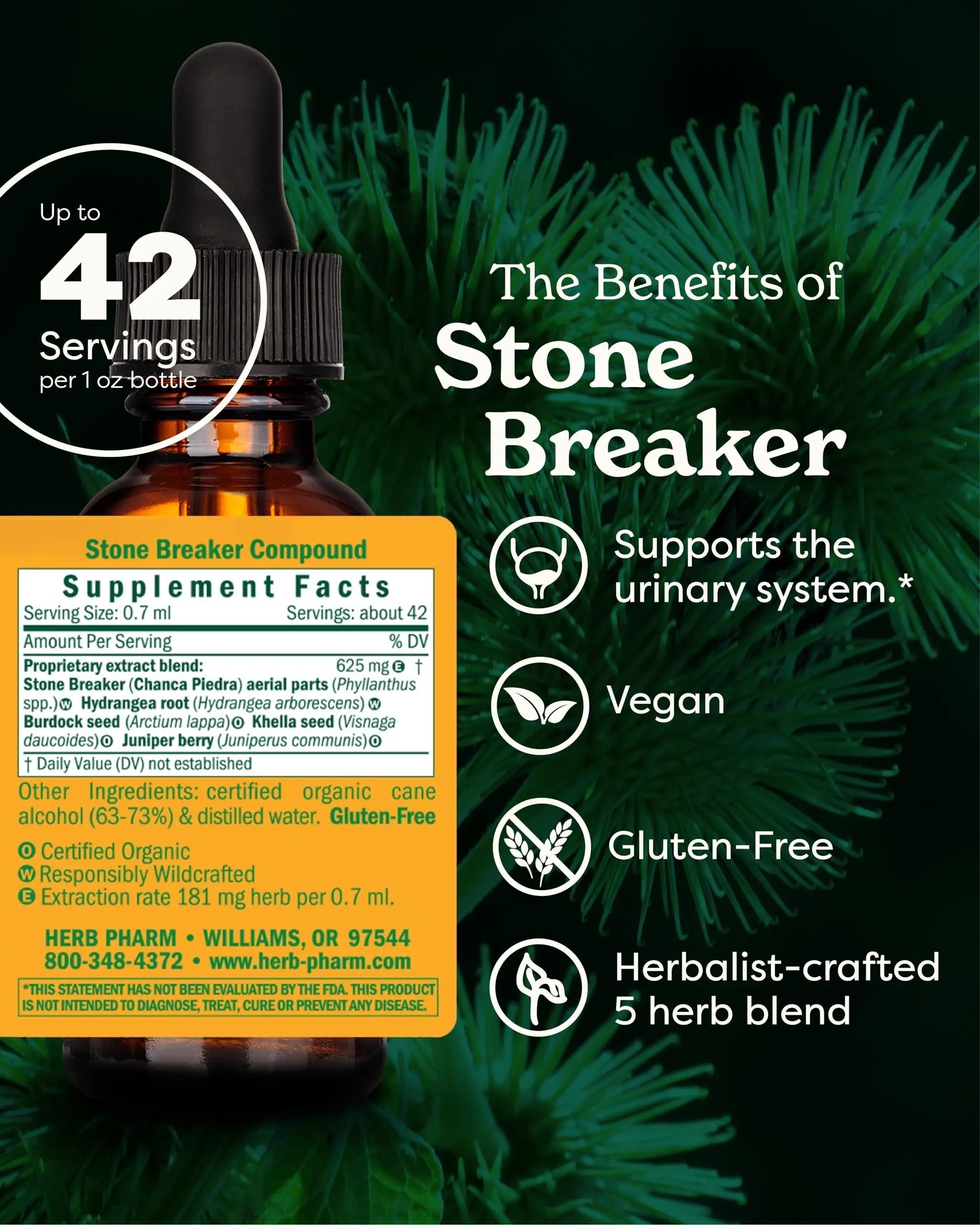 Herb Pharm Stone Breaker (Chanca Piedra) Compound Liquid for Urinary System Support - 1 Fl Oz Herb Pharm Au supplements