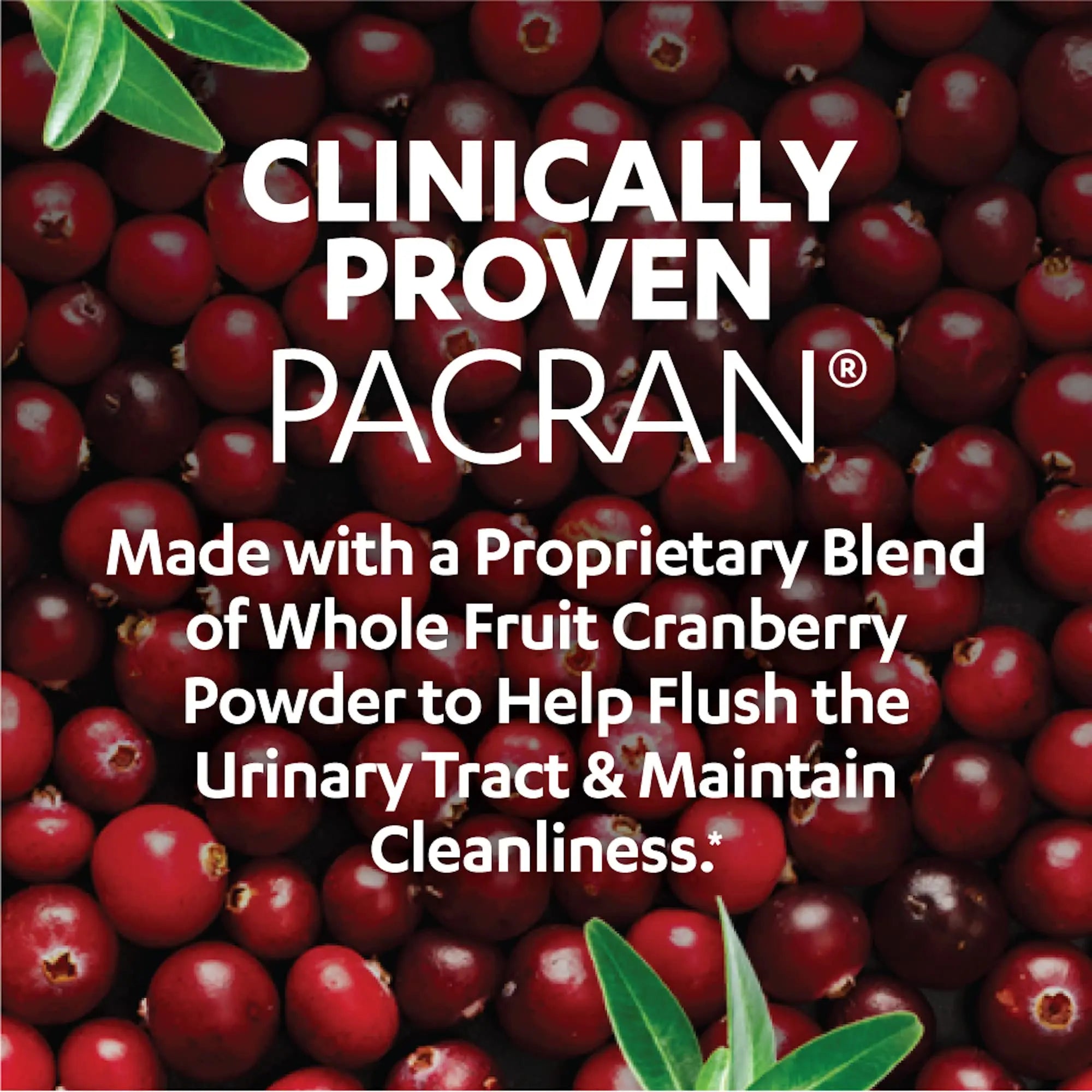 AZO D Mannose Urinary Tract Health, Cleanse, Flush & Protect The Urinary Tract & Cranberry Urinary Tract Health Supplement, 1 Serving = 1 Glass of Cranberry Juice, Sugar AZO Au supplements