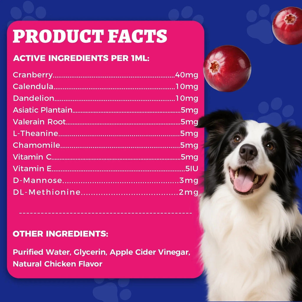 4oz Wellix Natural Cat & Dog UTI Treatment Drops,Cat & Dog Urinary Tract Infection Treatment - Cranberry & D-Mannose for Dogs & Cats - Kidney Health Supplement Wellix Au supplements