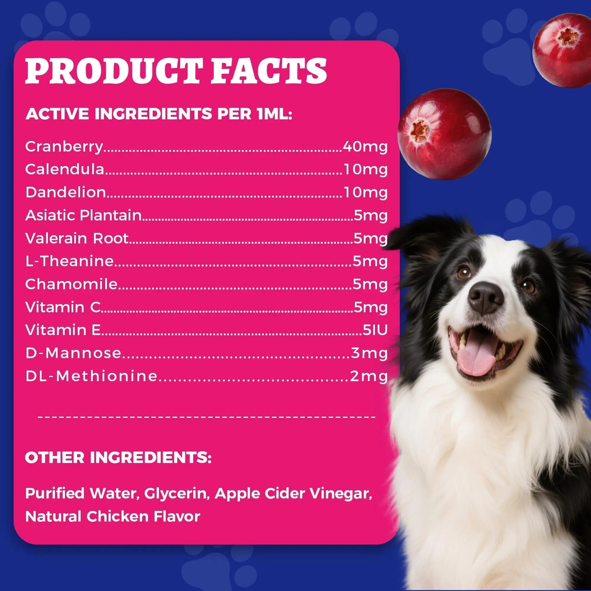 4oz Wellix Natural Cat & Dog UTI Treatment Drops,Cat & Dog Urinary Tract Infection Treatment - Cranberry & D-Mannose for Dogs & Cats - Kidney Health Supplement Wellix Au supplements