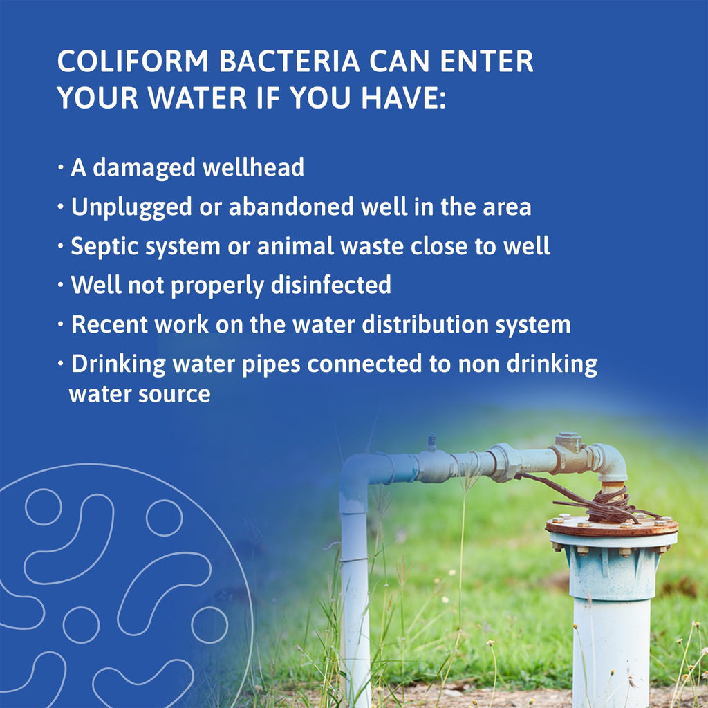Exploro® Bacteria Water Test Kit, Pond Water Test Kit, Pool Water Testing Kit, Water Testing Kits for Drinking Water for Coliform (E. coli), EPA Approved Pool Test Kit (1 Pack) Exploro Au supplements