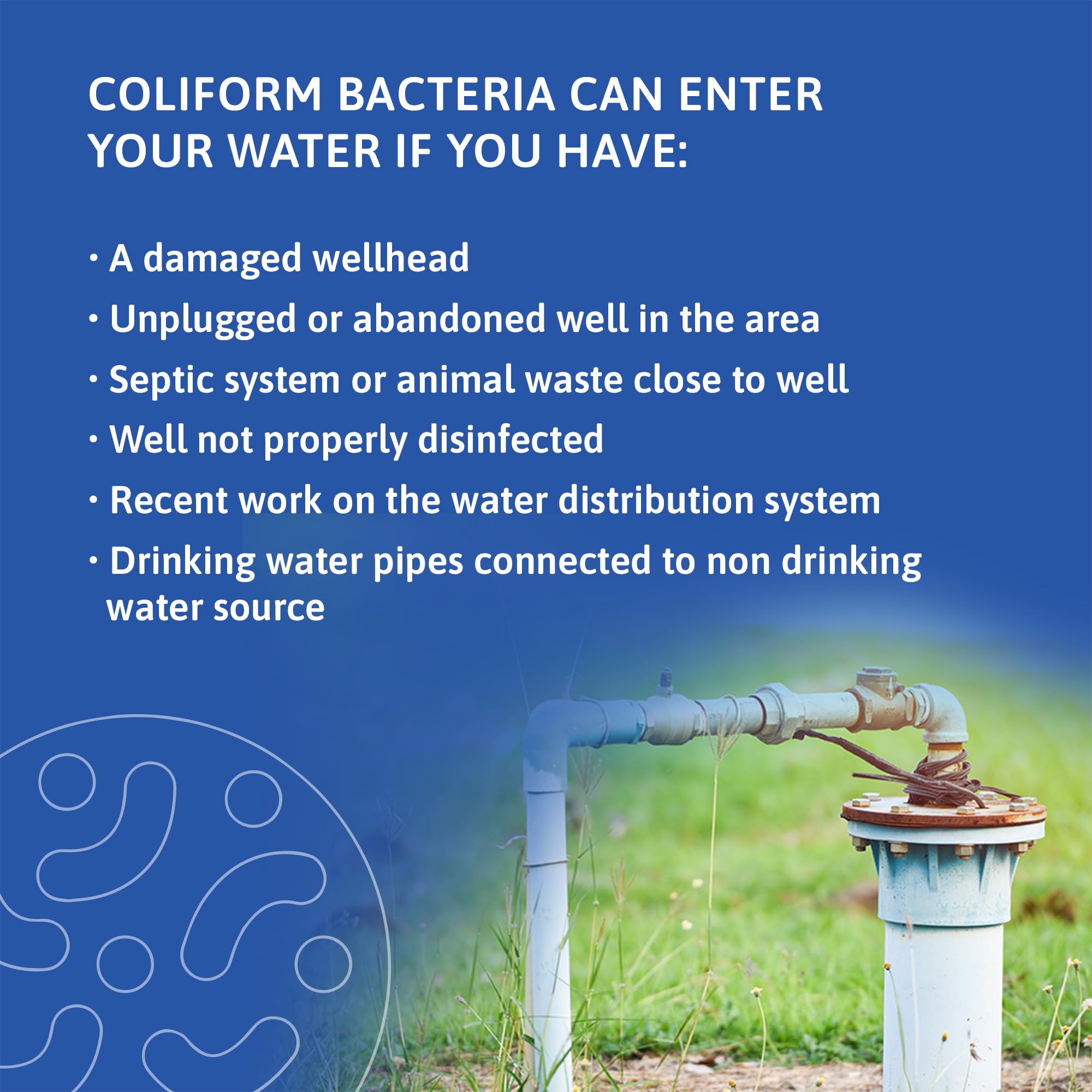 Exploro® Bacteria Water Test Kit, Pond Water Test Kit, Pool Water Testing Kit, Water Testing Kits for Drinking Water for Coliform (E. coli), EPA Approved Pool Test Kit (1 Pack) Exploro Au supplements