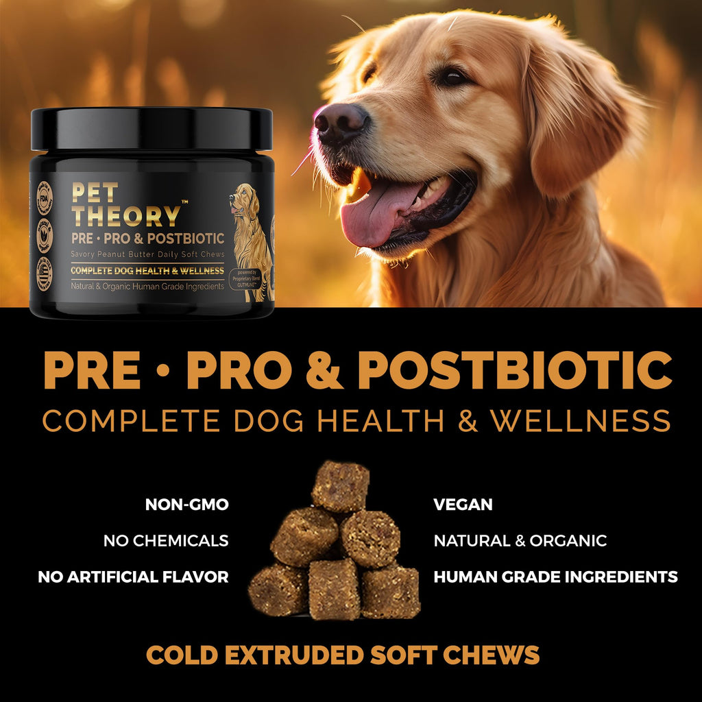 Pet Theory Probiotics for Dogs. Dog Digestive Health-Pre Pro and Postbiotic Combination-Pet Supplements for Gut Health-Supports Digestion, Boost Immunity-100CT Soft Chews Pet Theory Au supplements