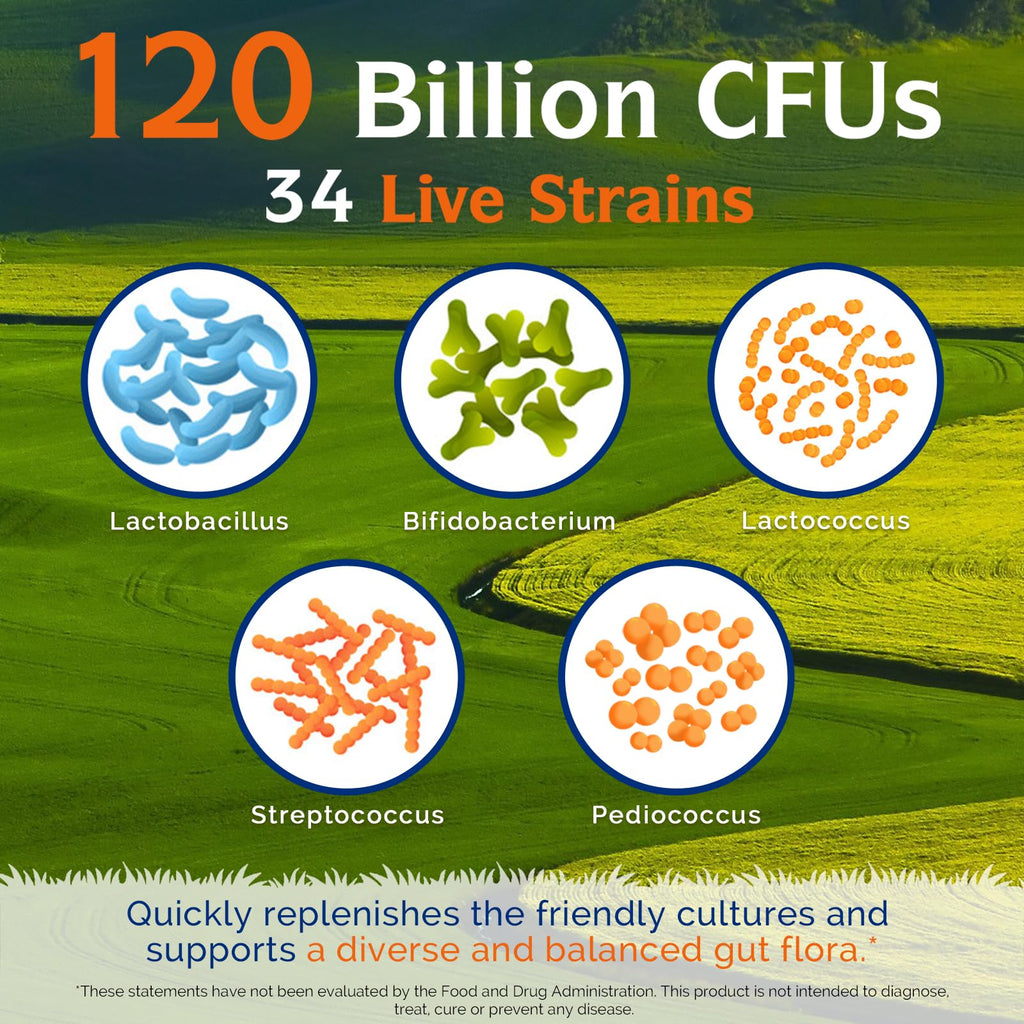 Innate Vitality Probiotics 120 Billion CFUs for Men & Women, 34 Strains with Prebiotics & Digestive Enzymes, Immune & Digestive Health